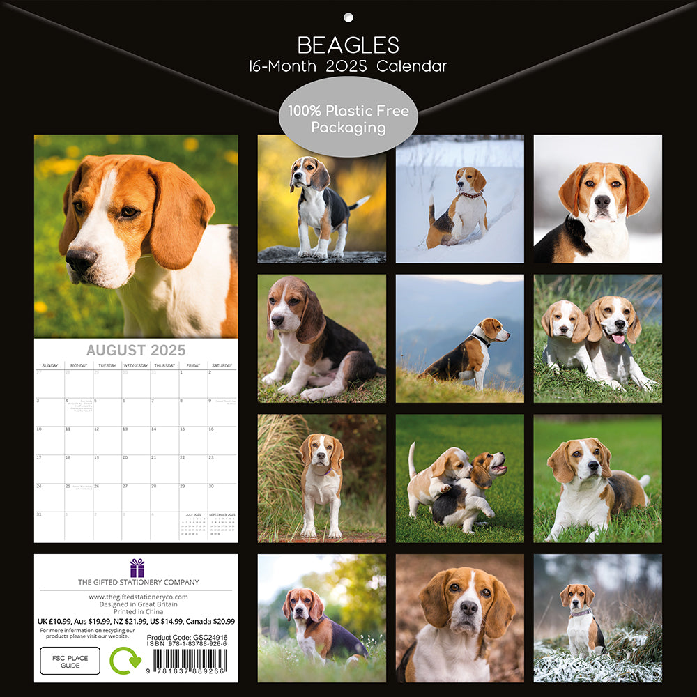 2025 Beagles - Square Wall Calendar