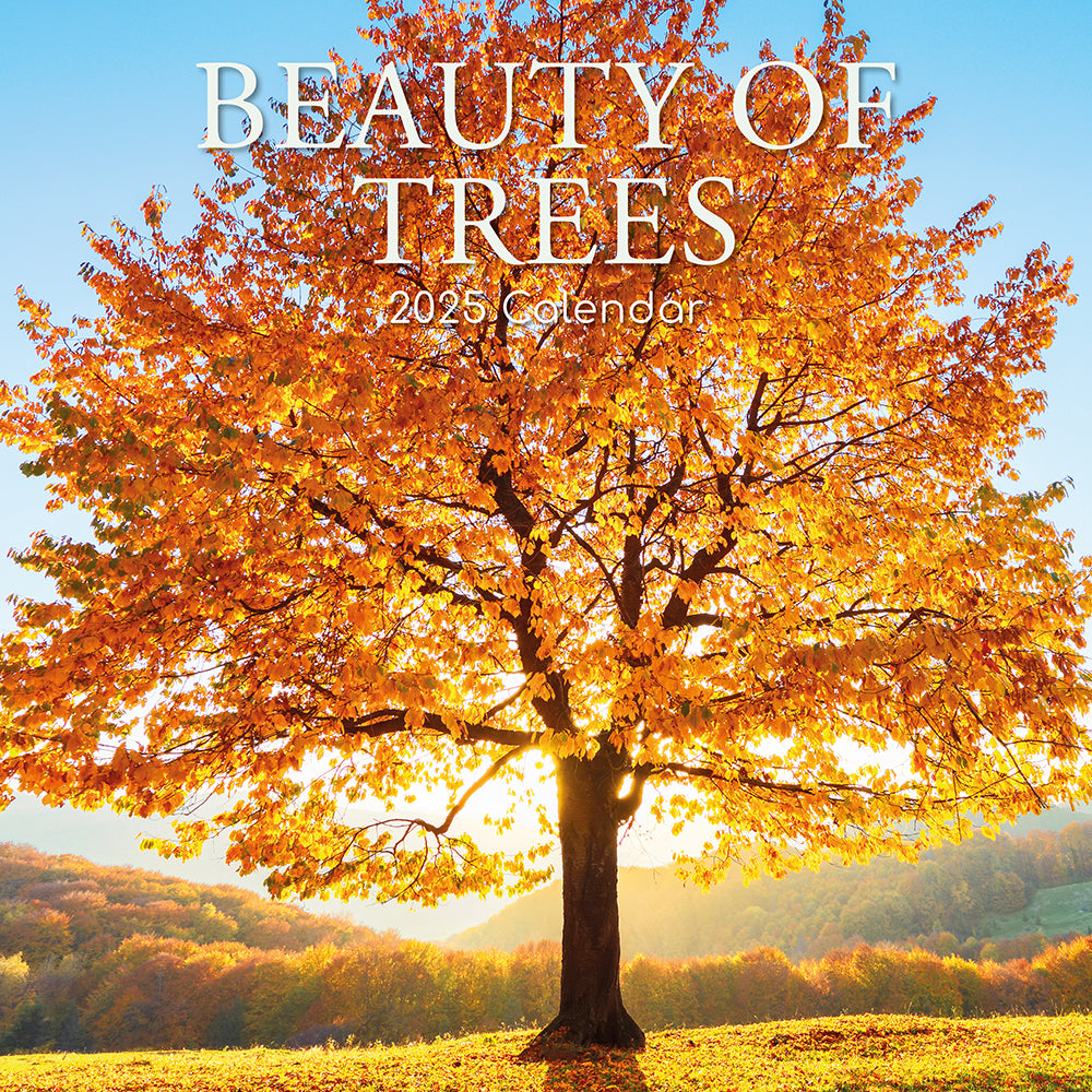 2025 Beauty of Trees - Square Wall Calendar