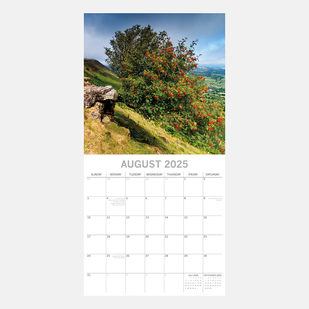 2025 Beauty of Trees - Square Wall Calendar