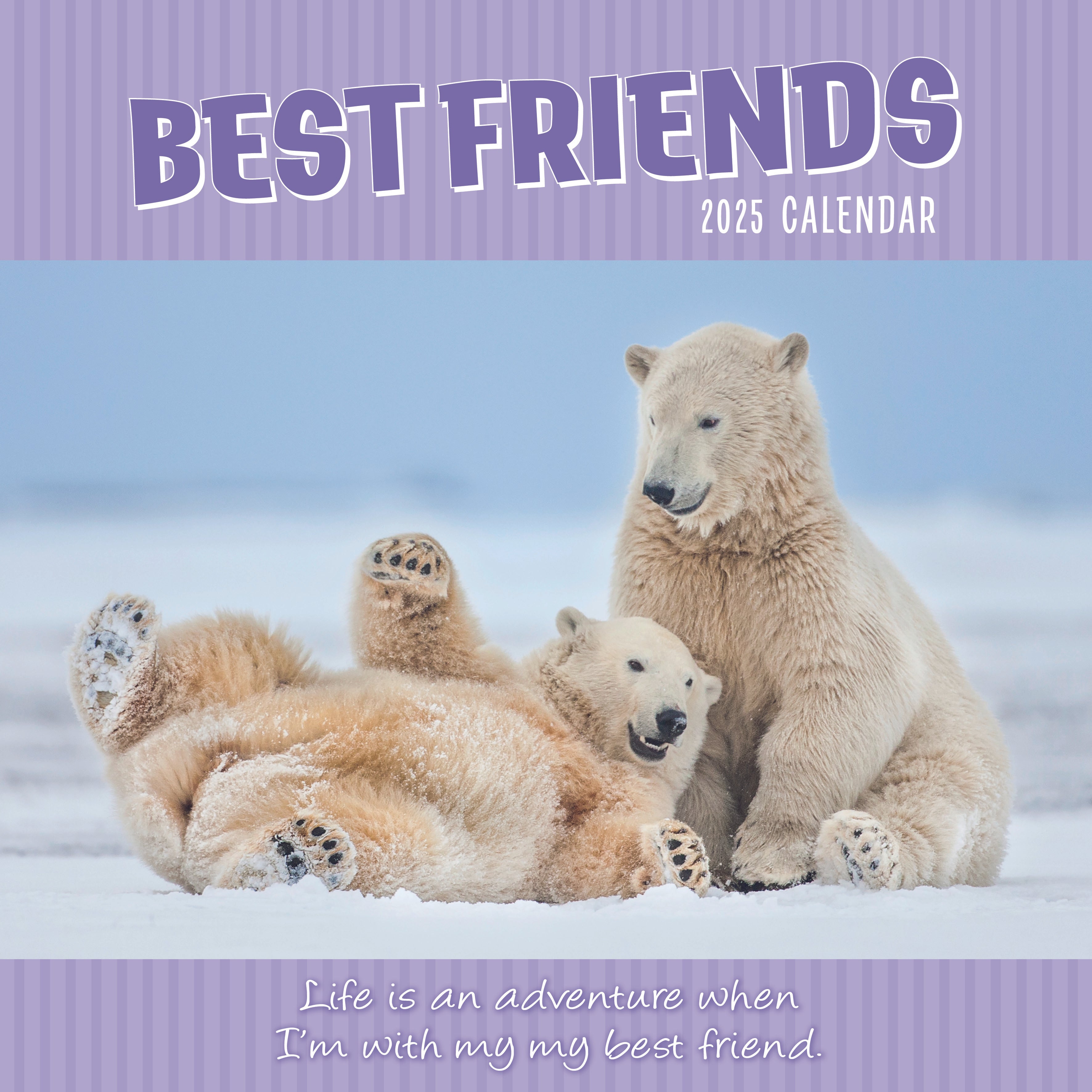 2025 Best Friends - Square Wall Calendar