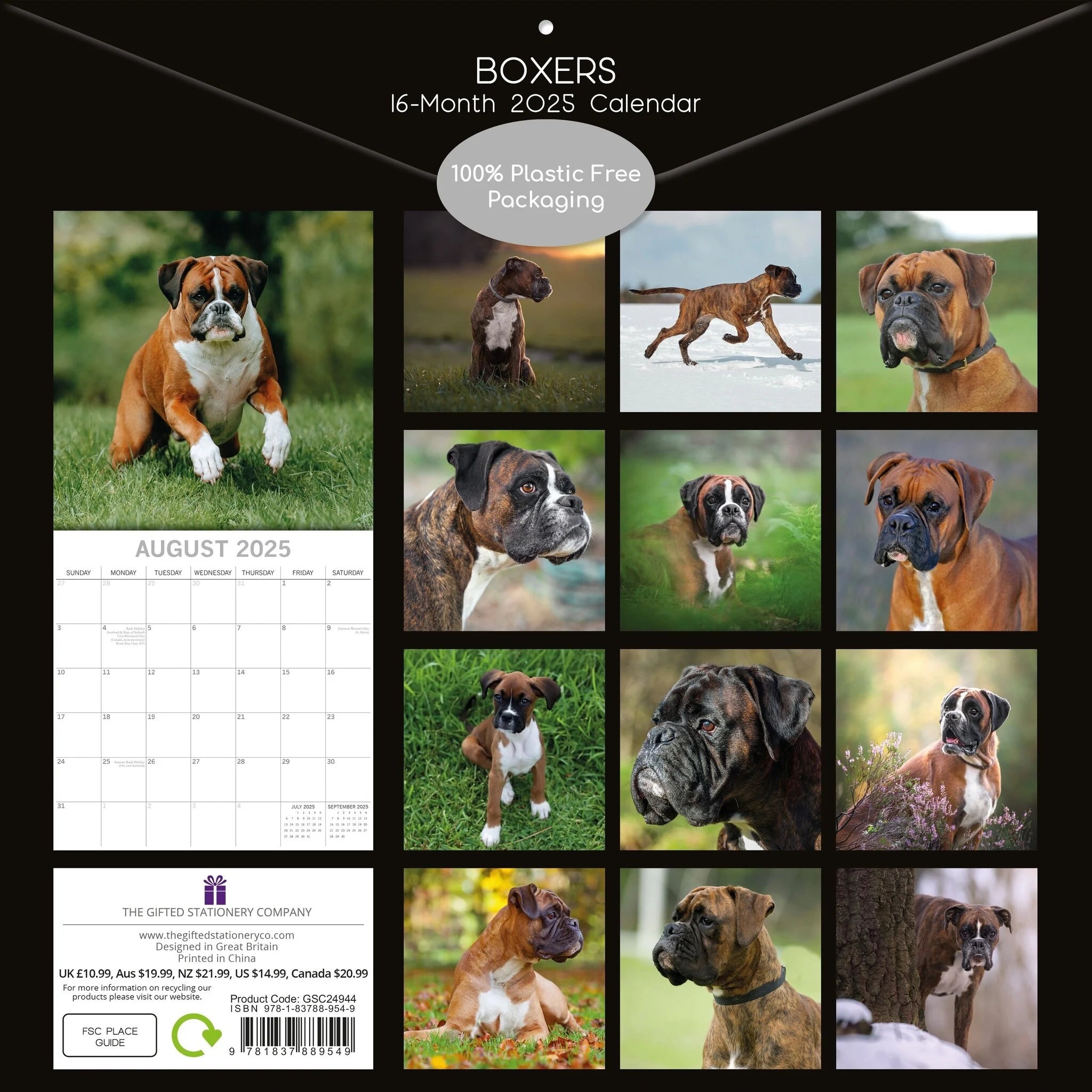 Boxer Dog Calendar 2025 Uk 