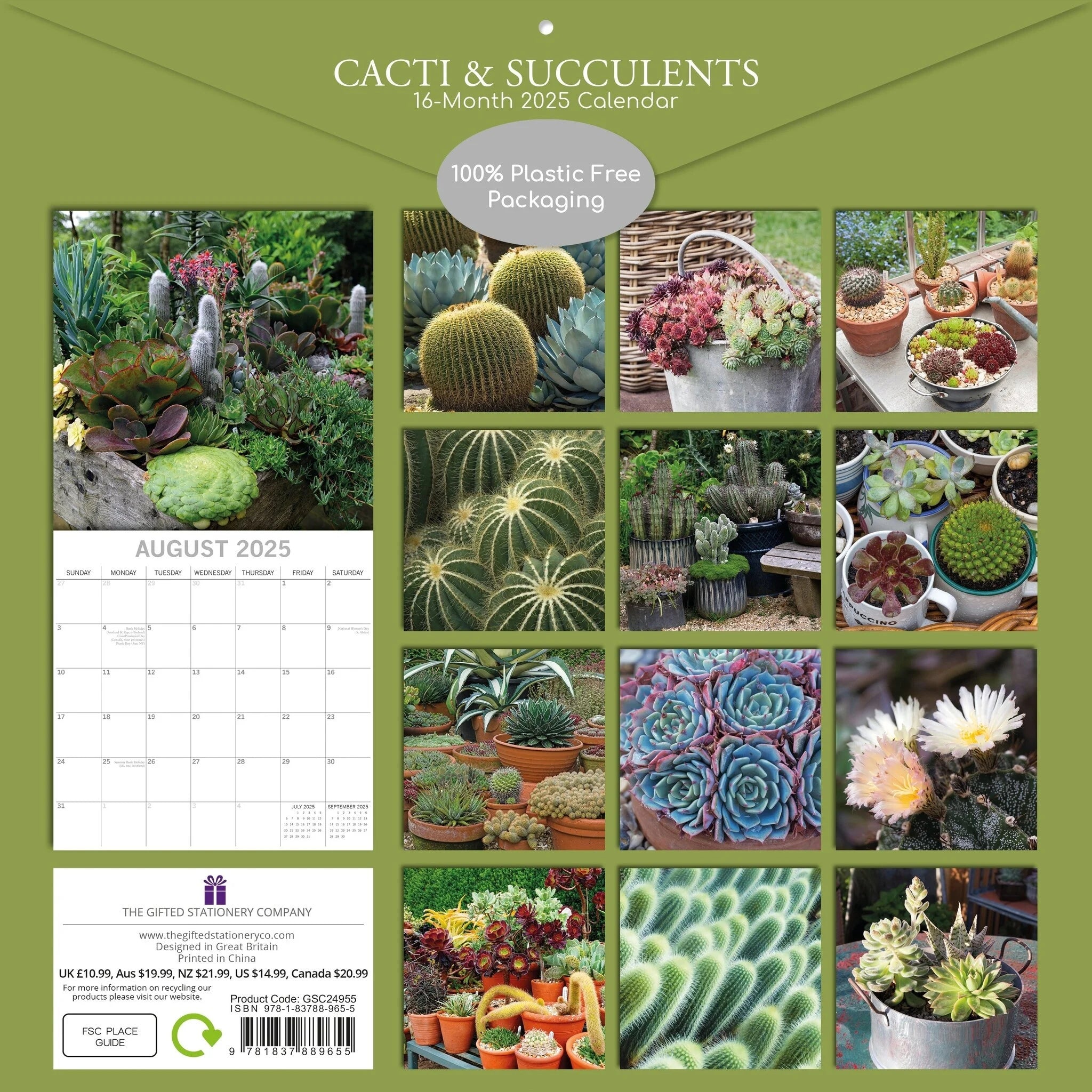 2025 Cacti & Succulents - Square Wall Calendar