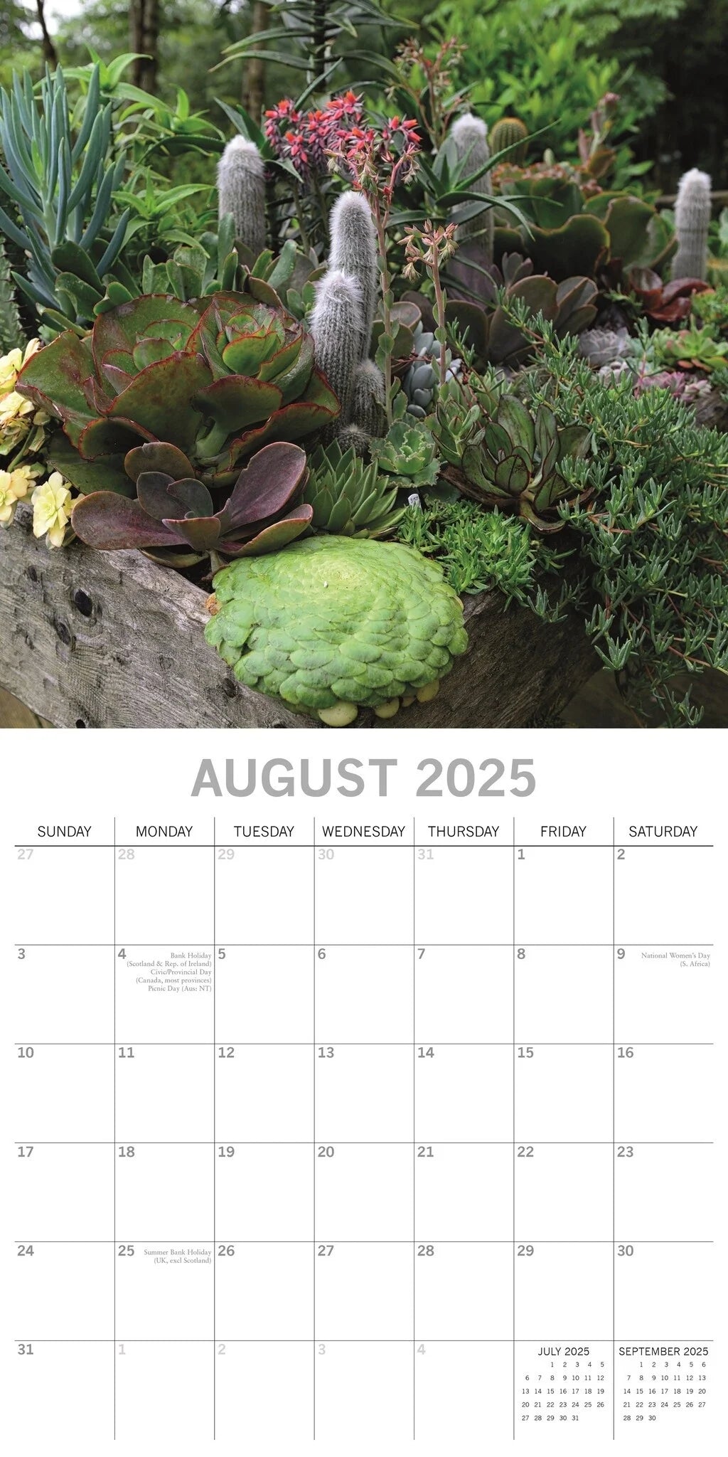 2025 Cacti & Succulents - Square Wall Calendar