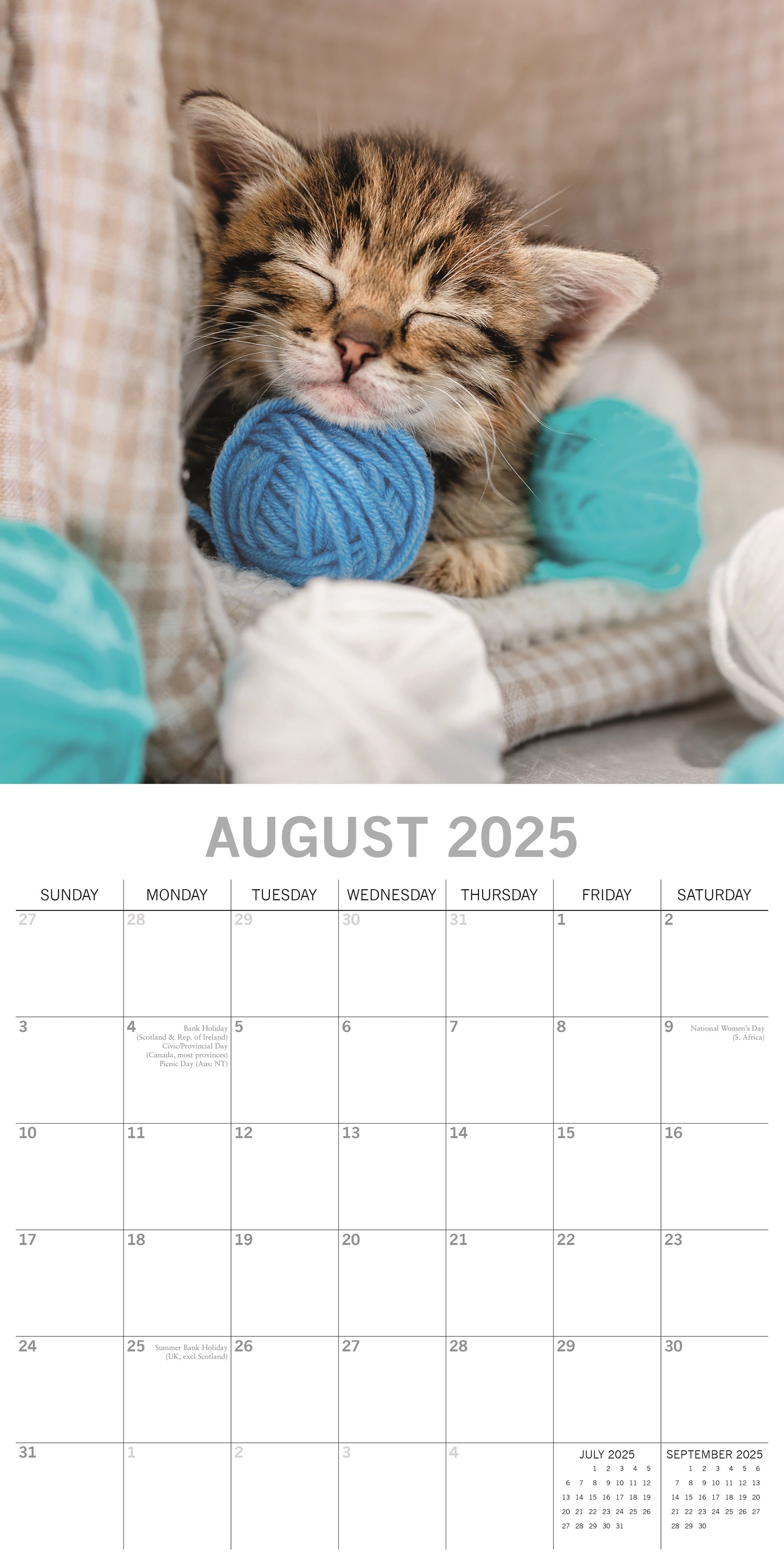 2025 Cat Naps - Square Wall Calendar