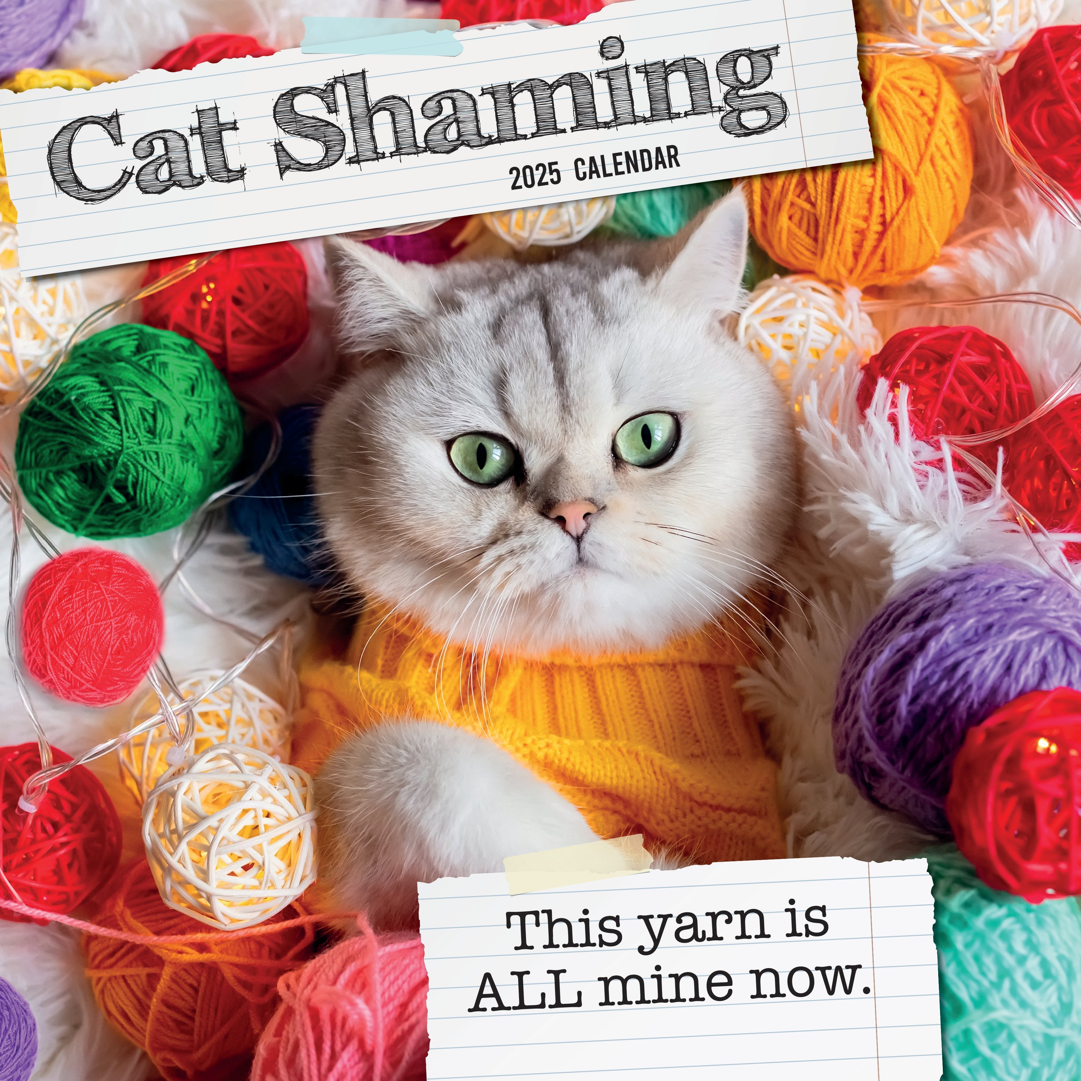 2025 Cat Shaming - Square Wall Calendar