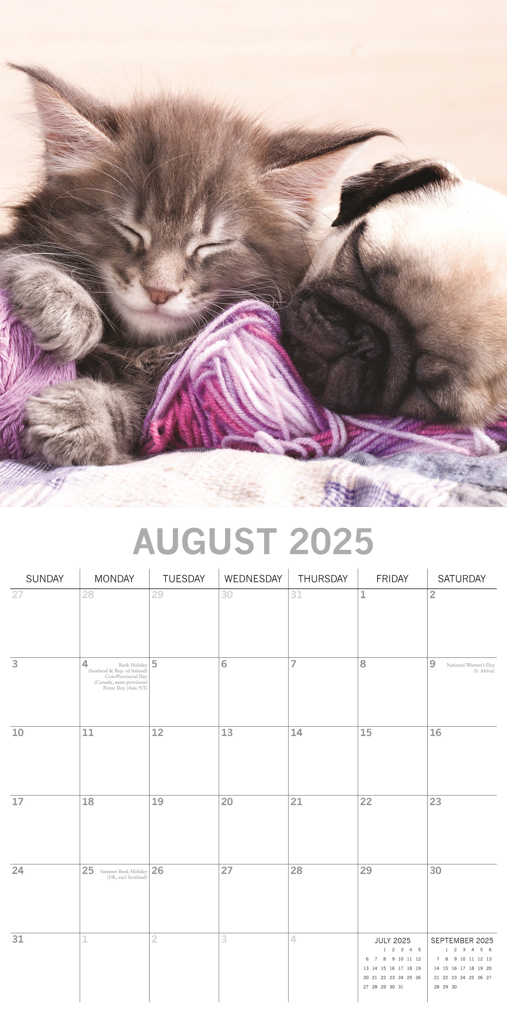 2025 Cats & Dogs - Square Wall Calendar