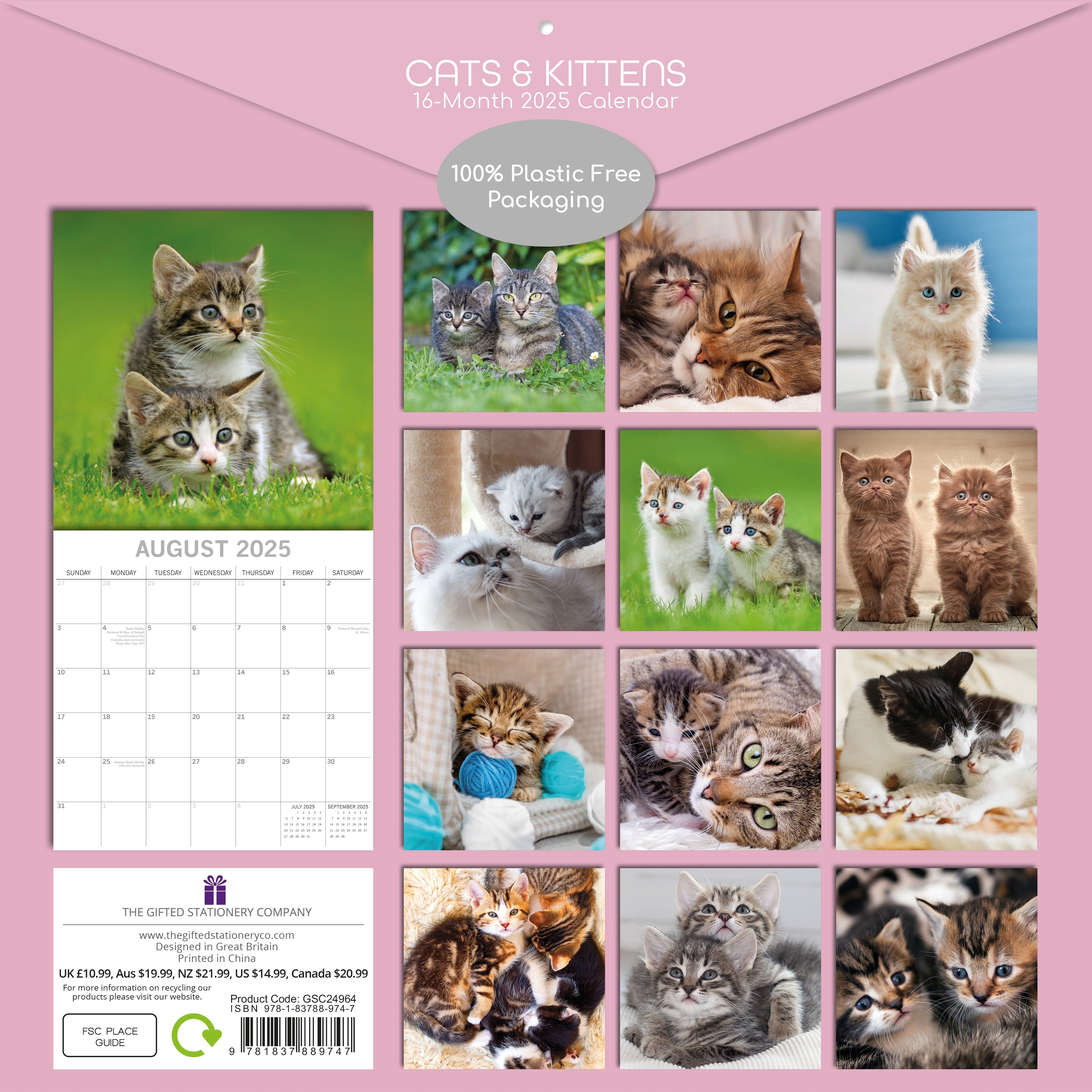 2025 Cats & Kittens - Square Wall Calendar