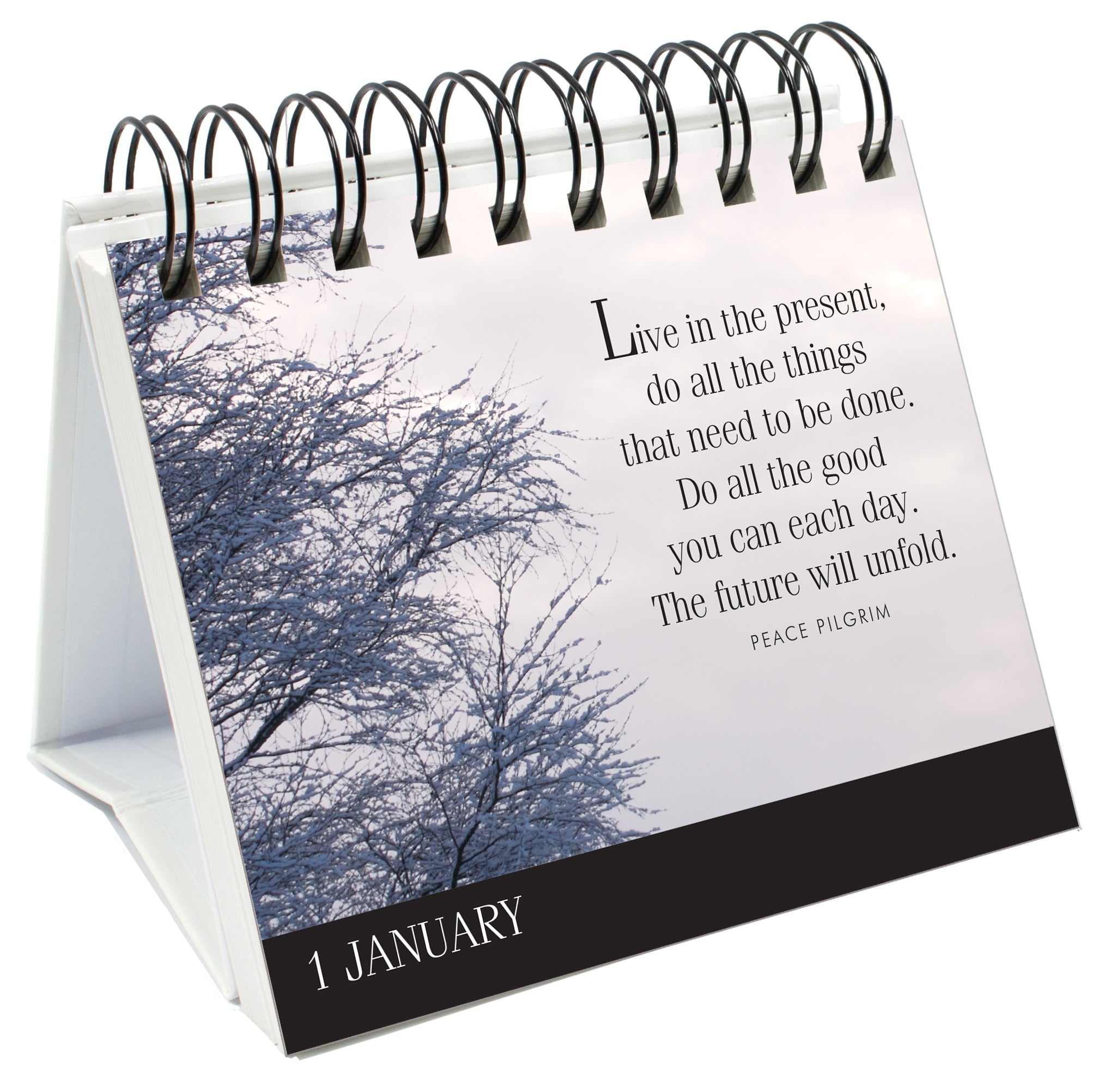 365 Great Days - Calm Days - Page-A-Day Desk Easel Calendar