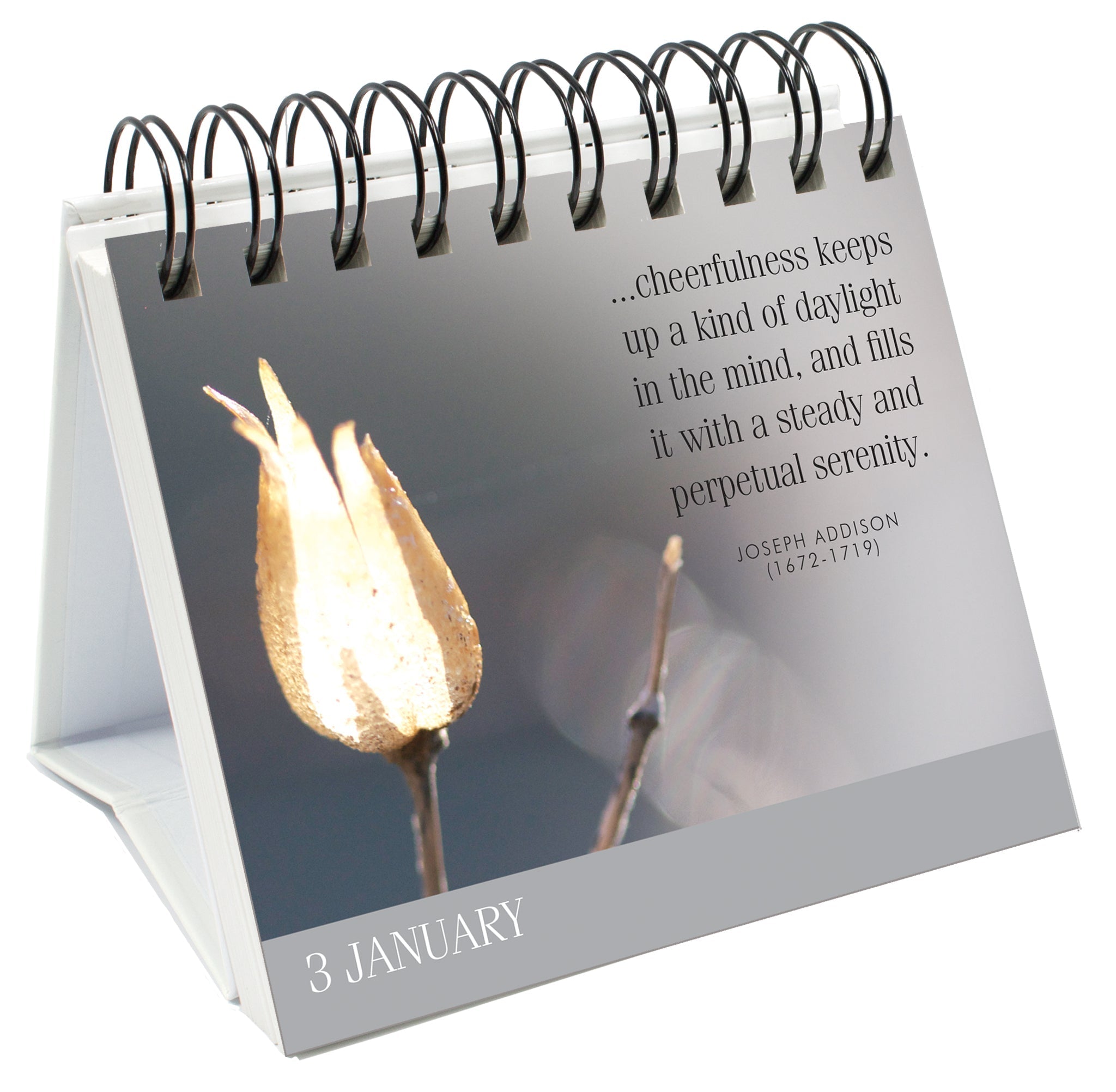 365 Great Days - Calm Days - Page-A-Day Desk Easel Calendar