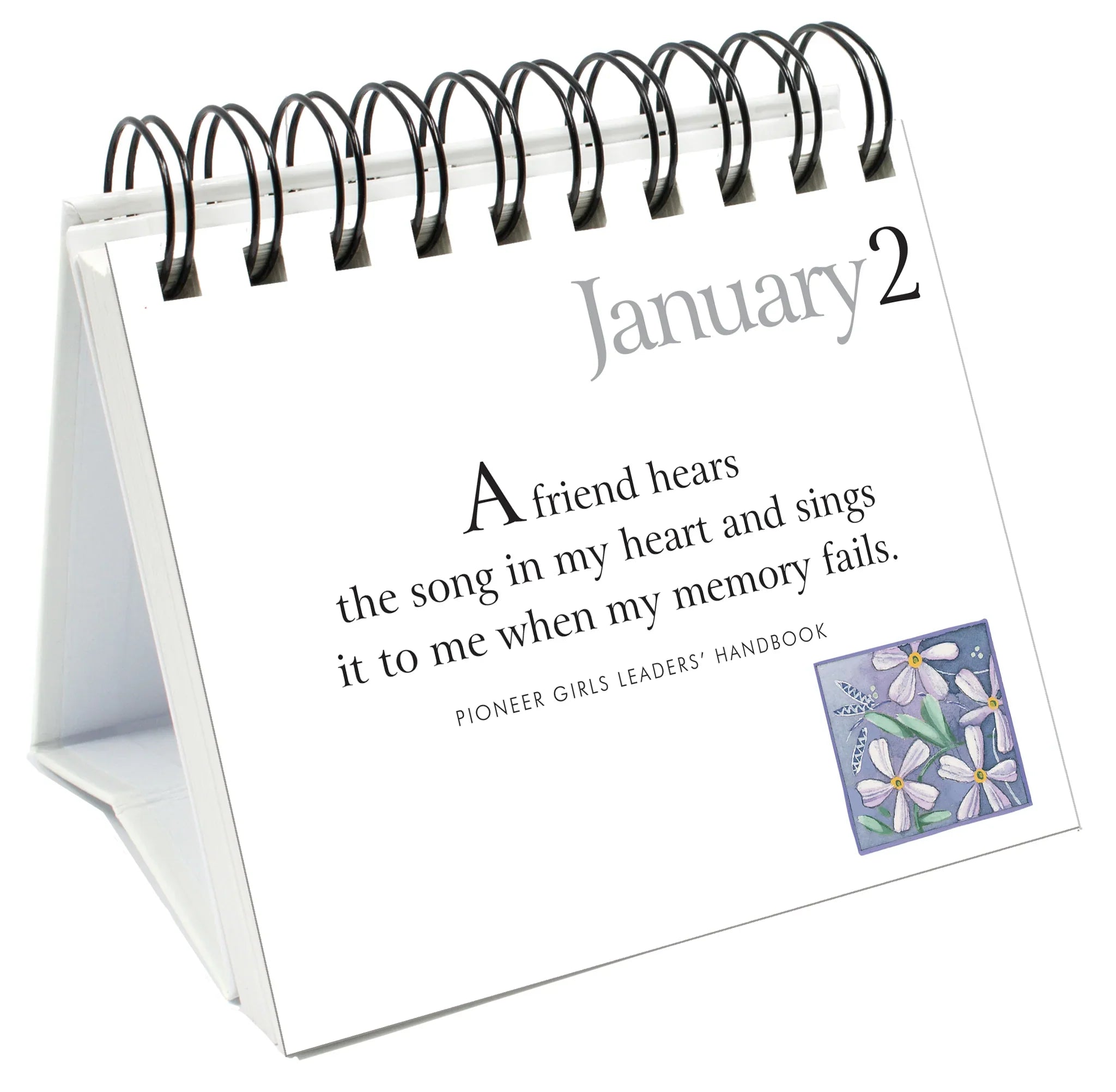 365 Great Days - Friendship - Page-A-Day Desk Easel Calendar