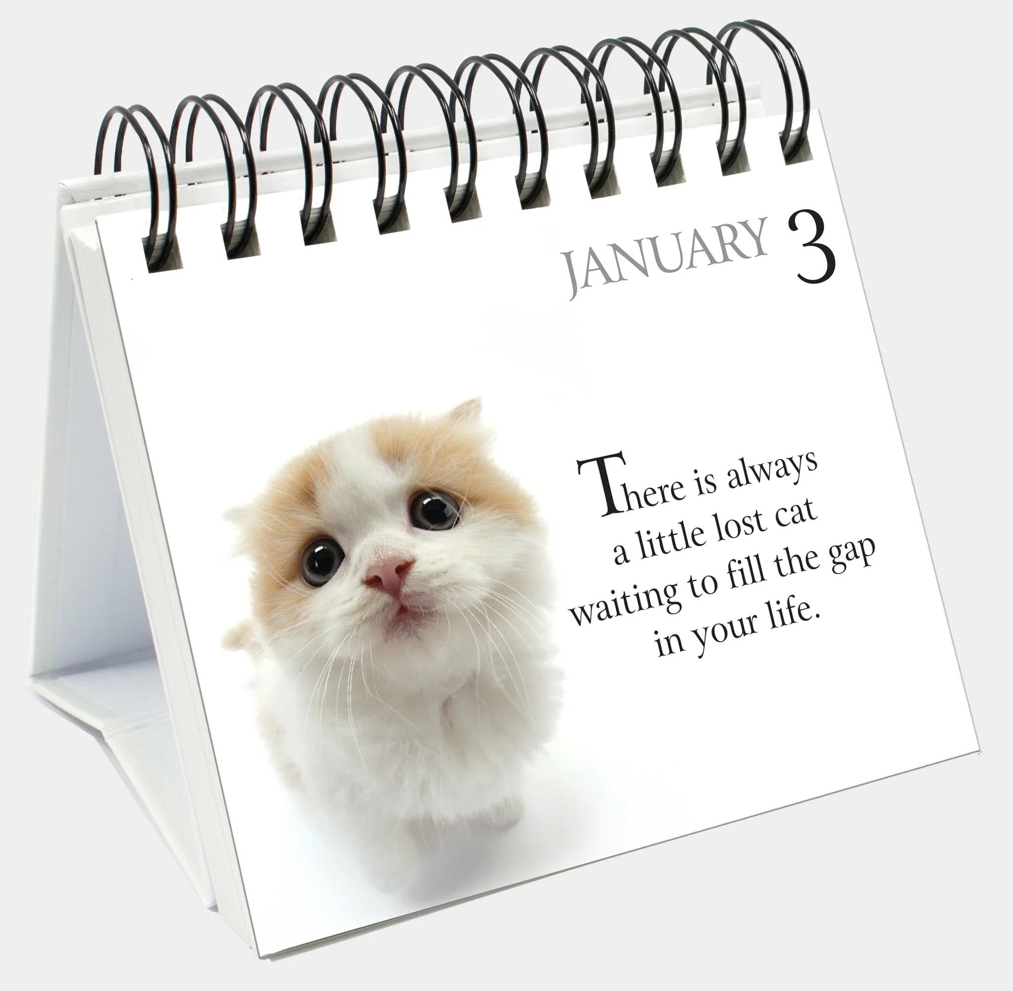 365 Days With My Bossy Cat - Page-A-Day Desk Easel Calendar