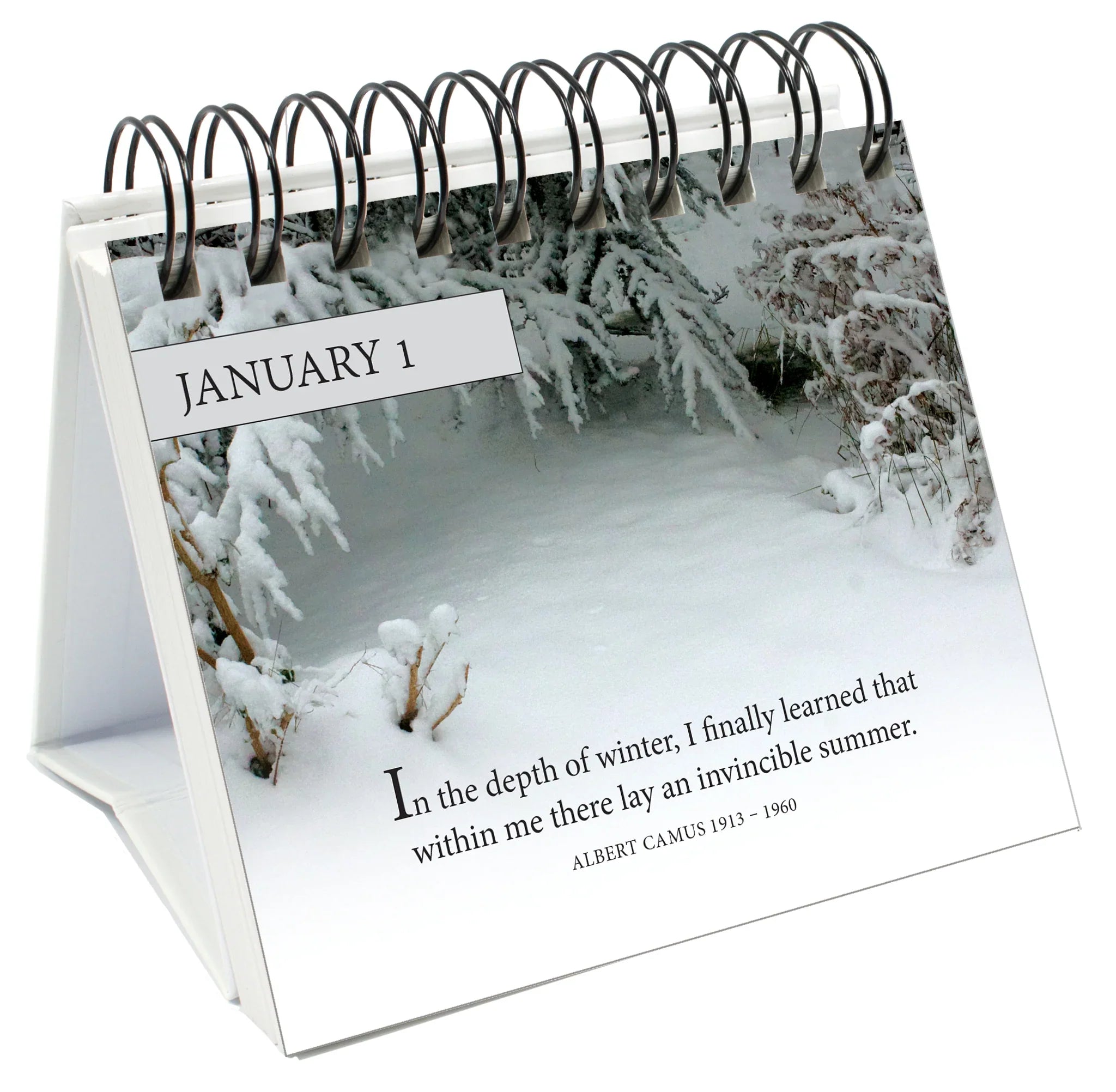 365 Words To Live By - Page-A-Day Desk Easel Calendar