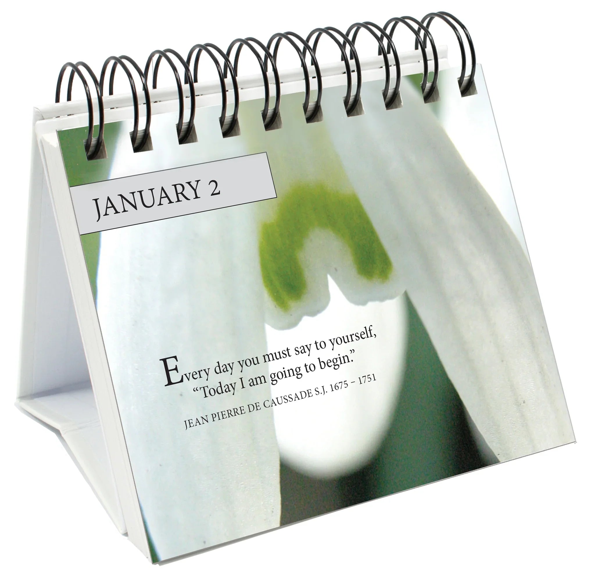 365 Words To Live By - Page-A-Day Desk Easel Calendar