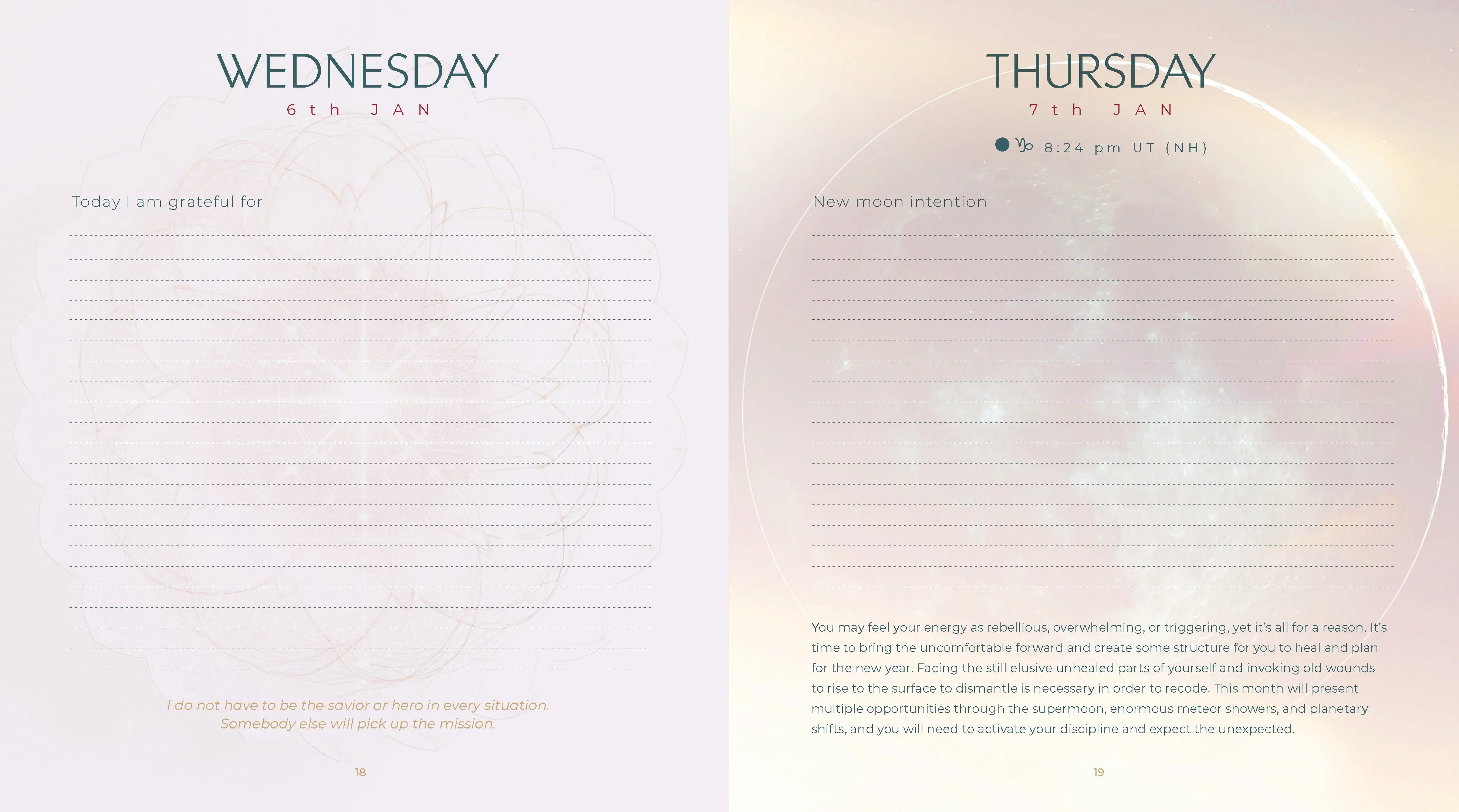 2027 Gratitude - Daily Page-A-Day Diary/Planner