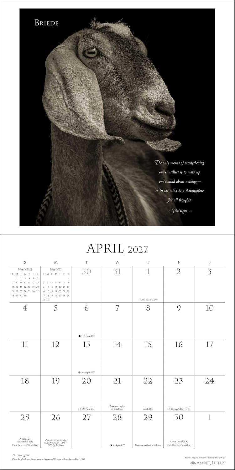 2027 I Am Goat - Square Wall Calendar