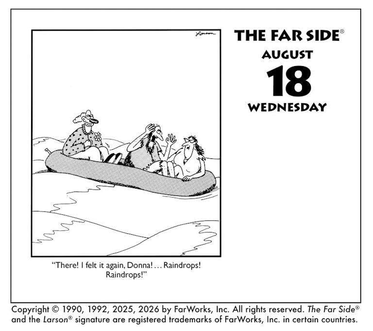 2027 Far Side Off-the-Wall - Daily Boxed Page-A-Day Calendar