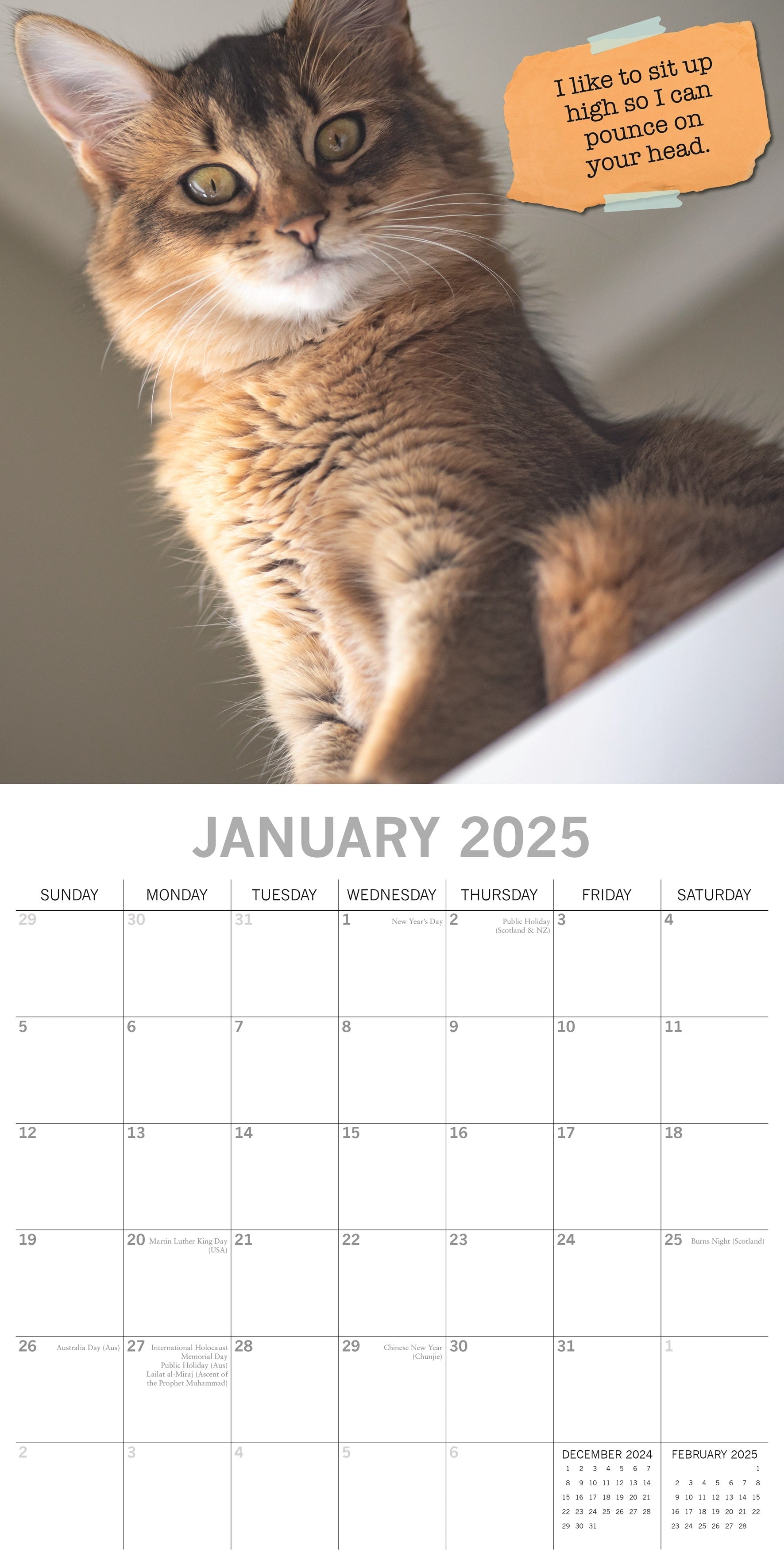 2025 Cat Shaming - Square Wall Calendar