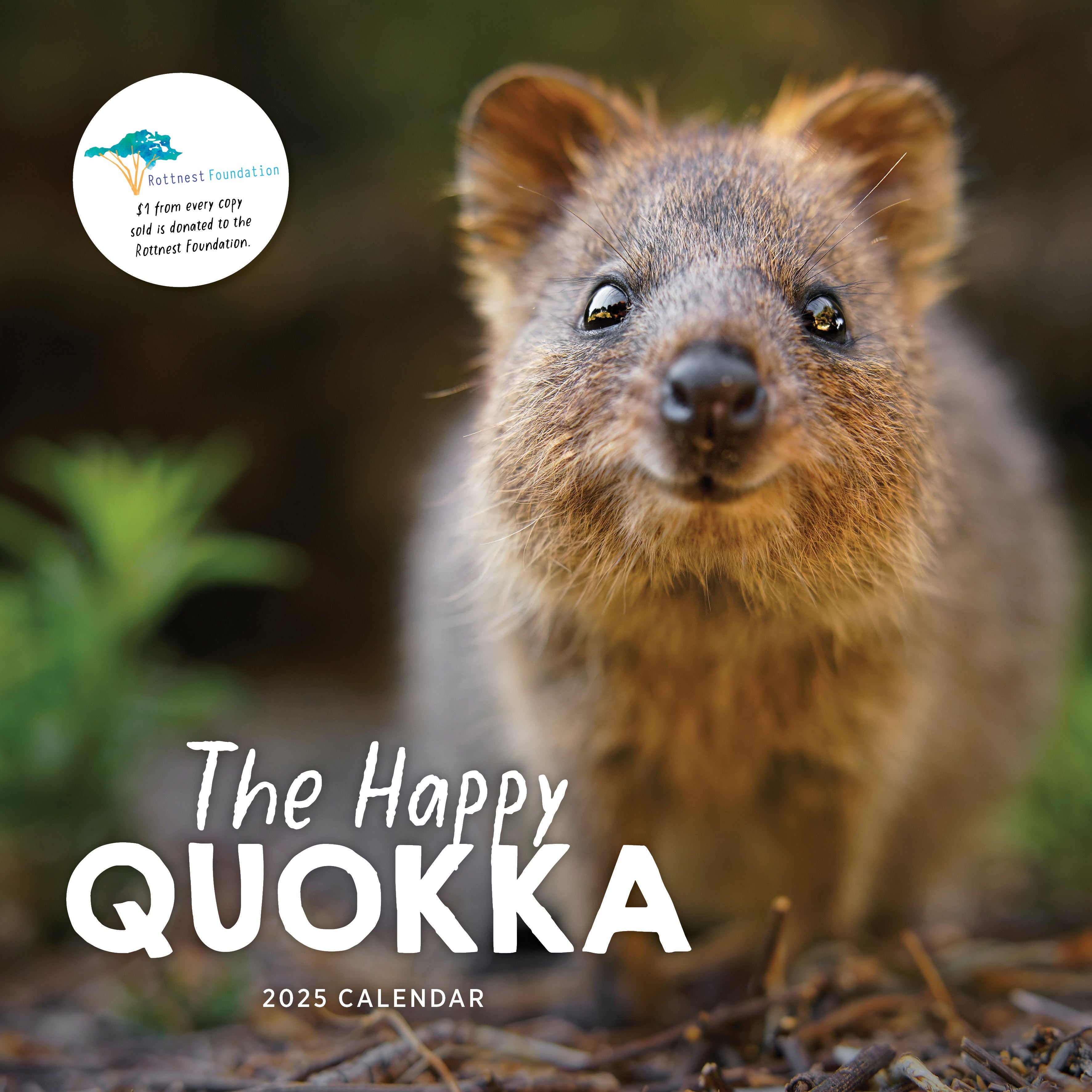 2025 The Happy Quokka - Square Wall Calendar