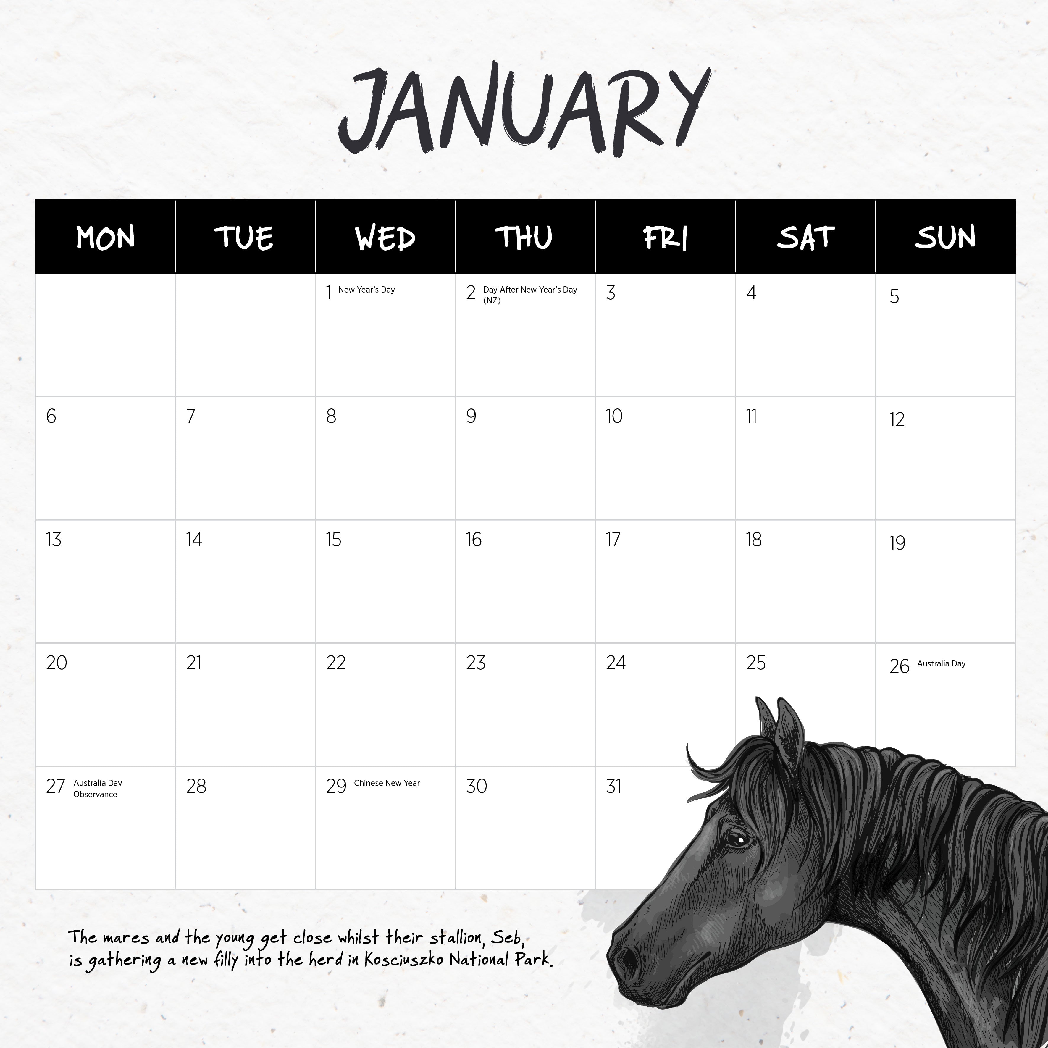 2025 Wild Horses (The Brumby) - Square Wall Calendar