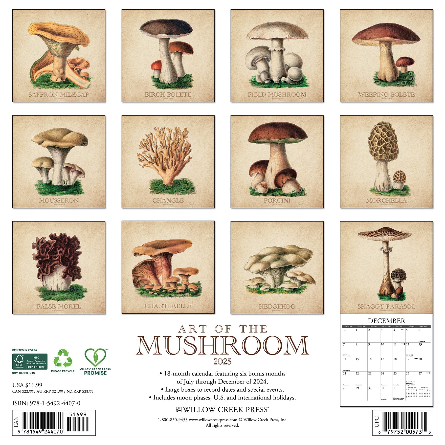 2025 Art of the Mushroom - Square Wall Calendar