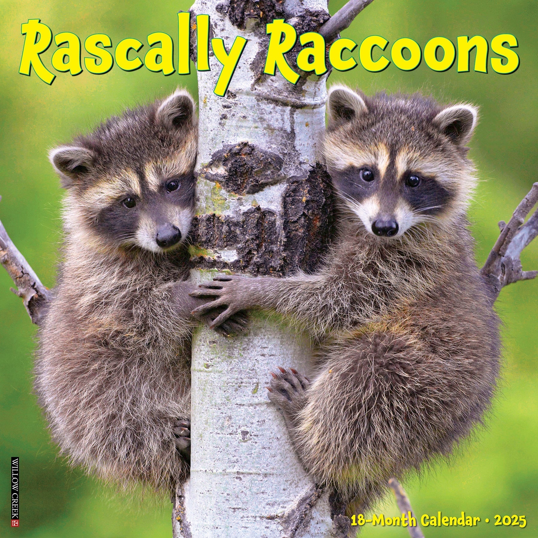 2025 Rascally Raccoons - Square Wall Calendar