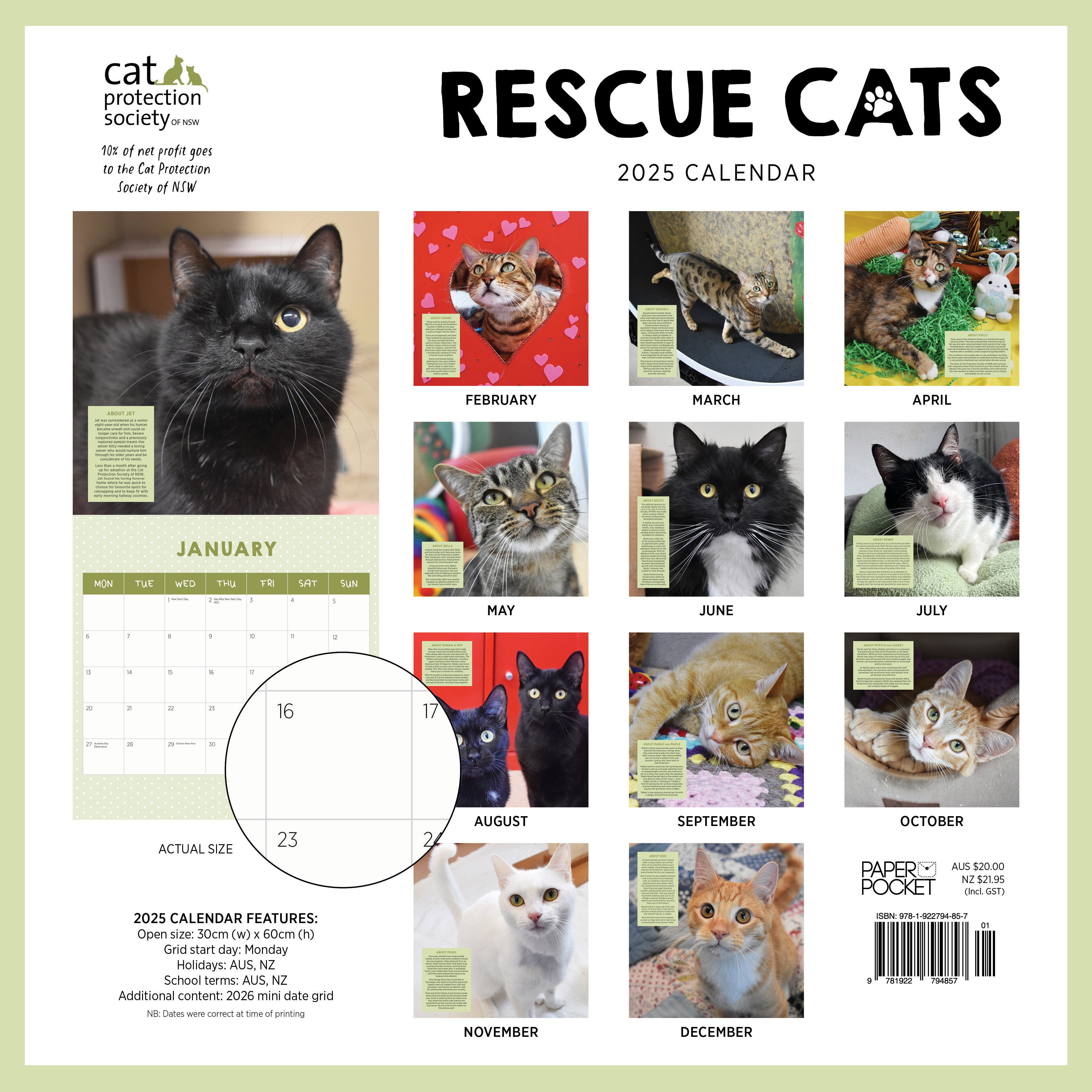 2025 Rescue Cats - Square Wall Calendar