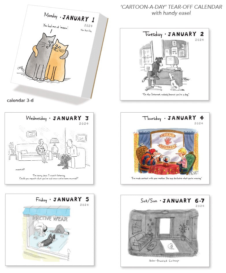 2024 Cartoon - Daily Boxed Page-A-Day Calendar  SOLD OUT