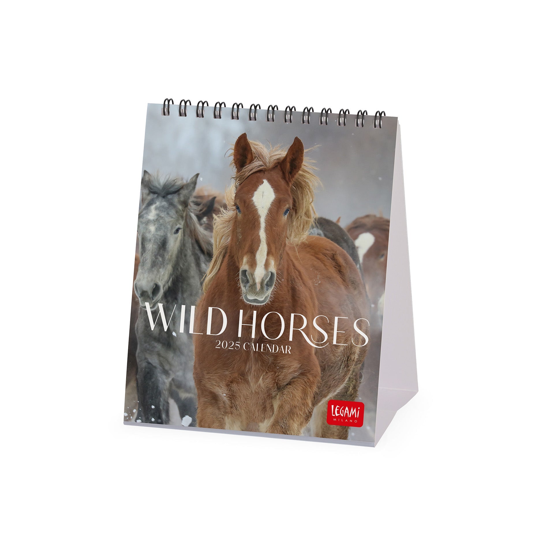 2025 Wild Horses - Desk Easel Calendar