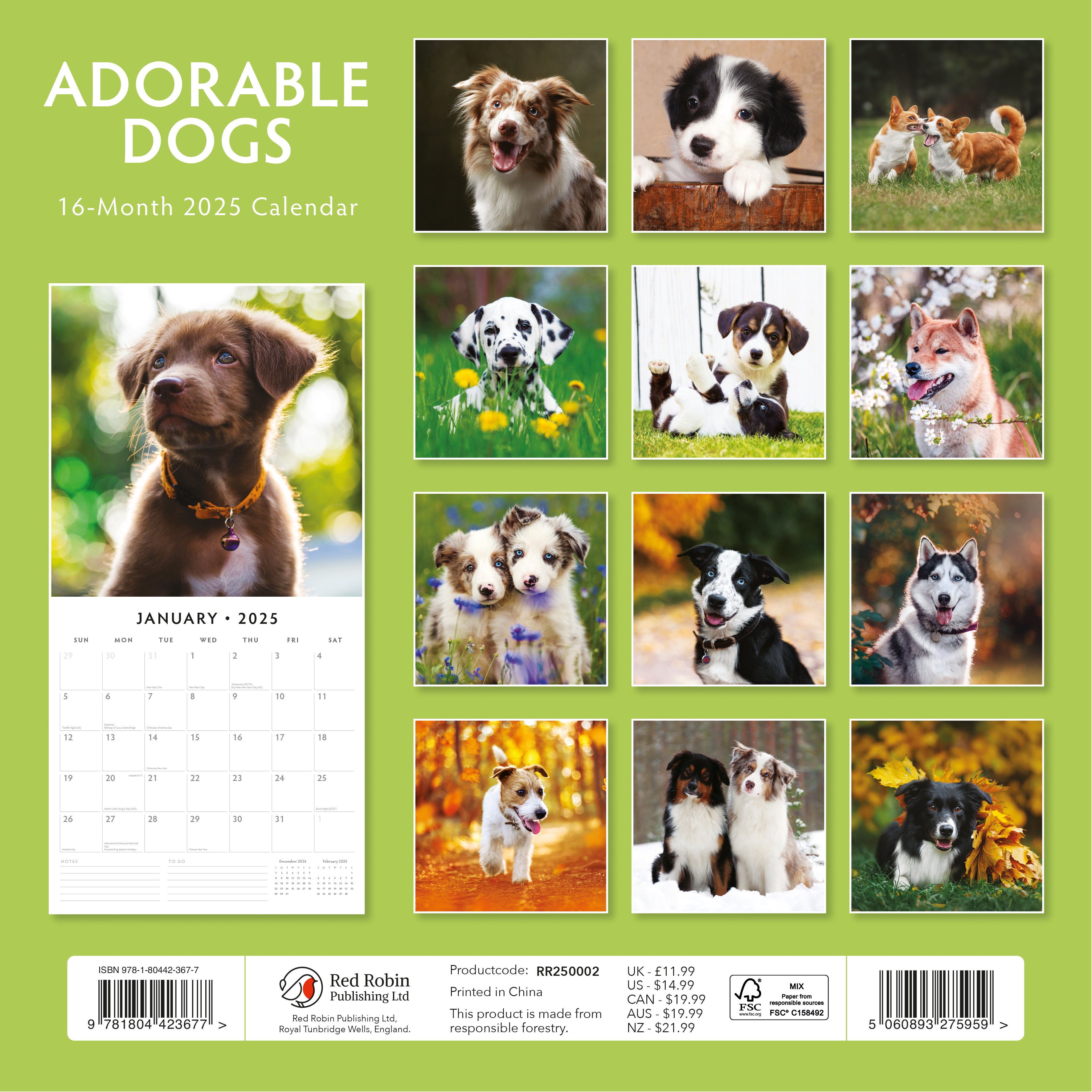 2025 Adorable Dogs - Square Wall Calendar