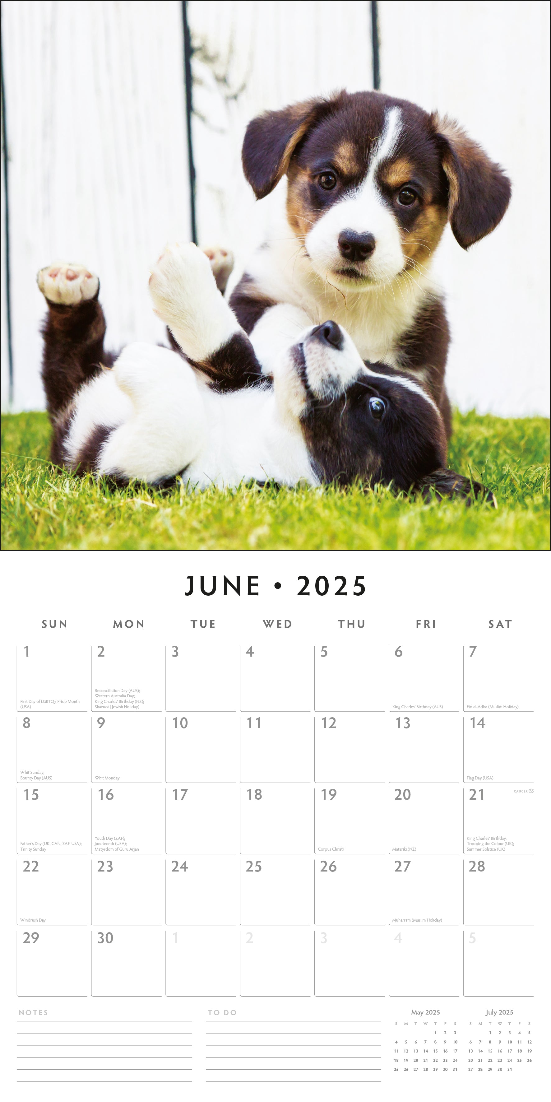 2025 Adorable Dogs - Square Wall Calendar