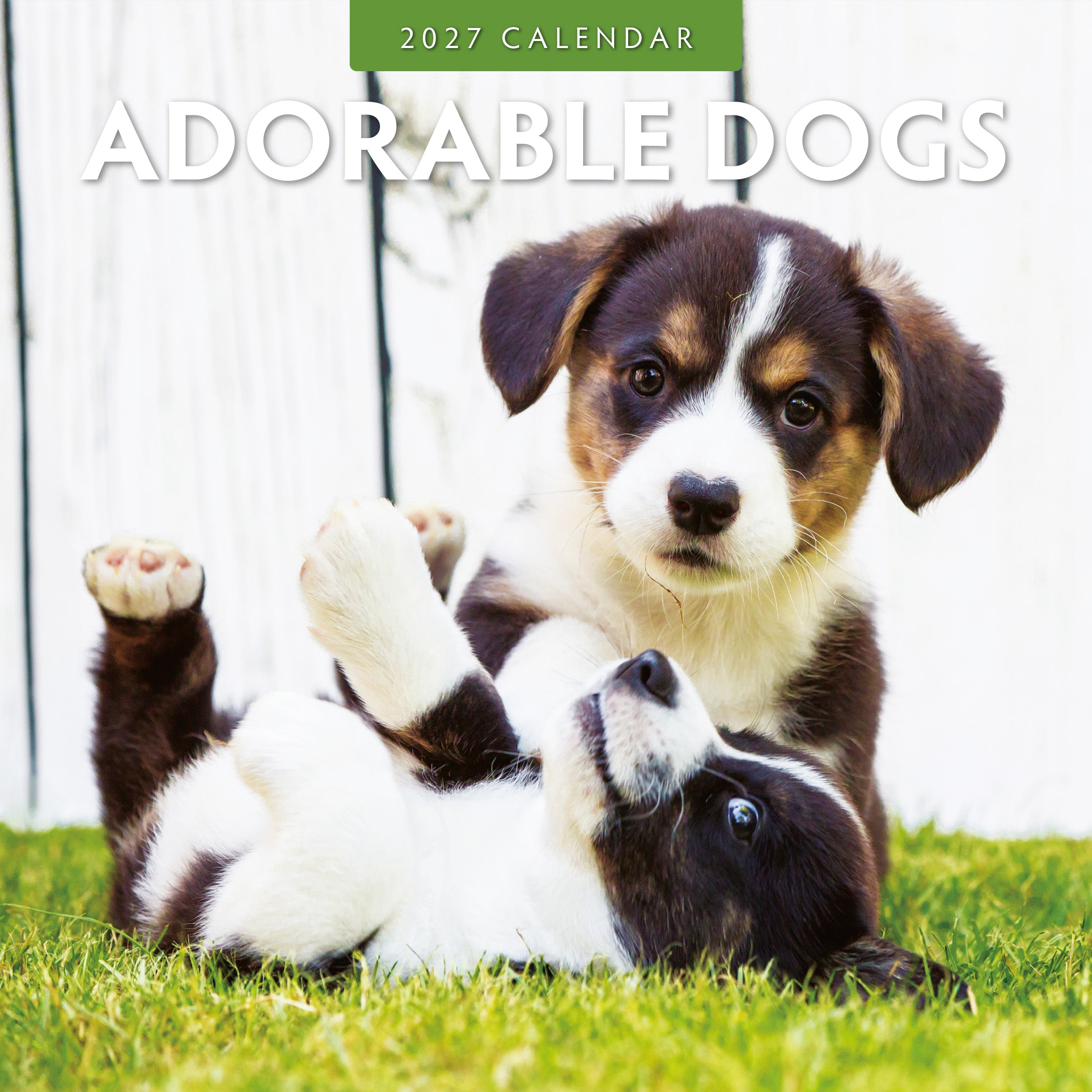 2027 Adorable Dogs - Square Wall Calendar