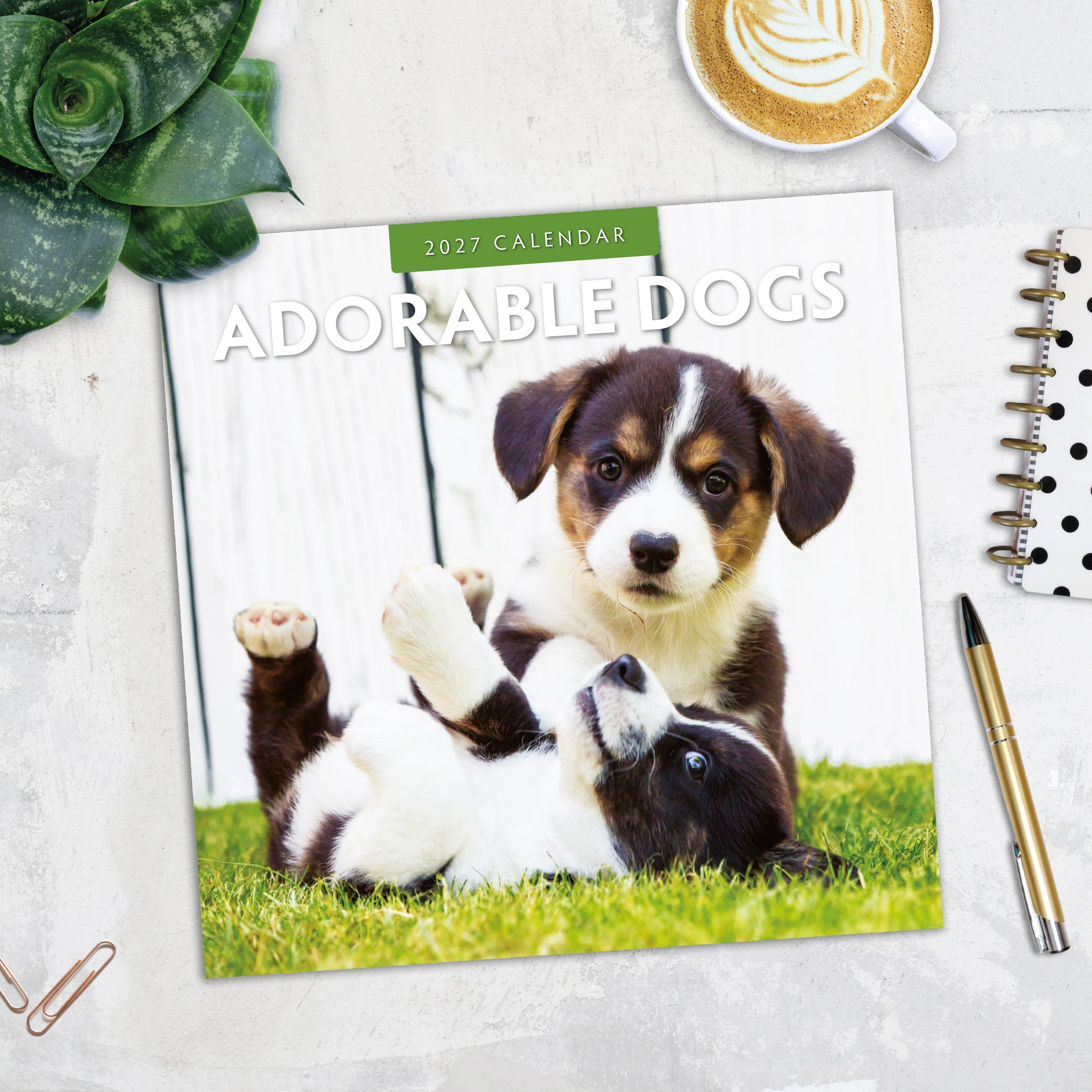2027 Adorable Dogs - Square Wall Calendar