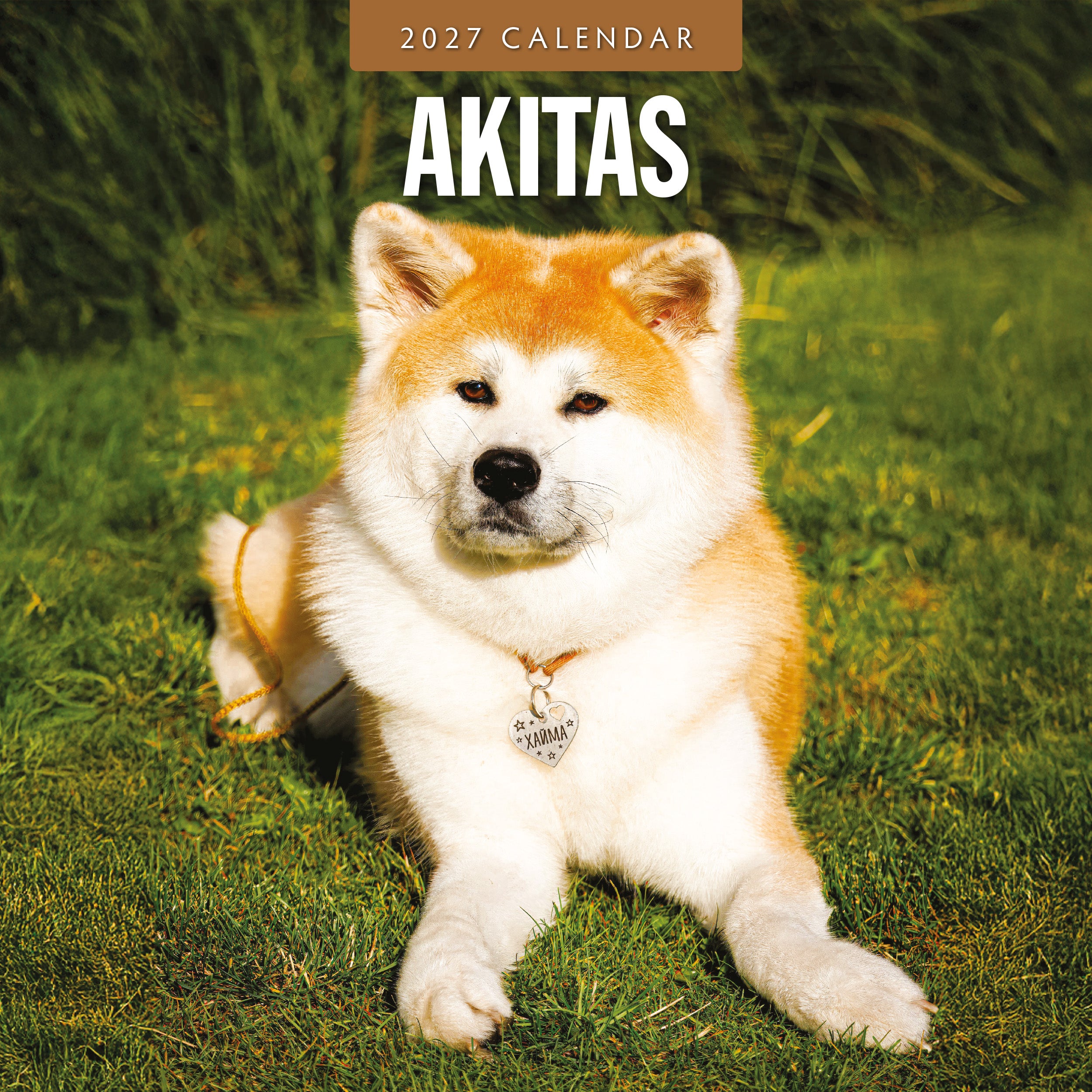 2027 Akitas - Square Wall Calendar