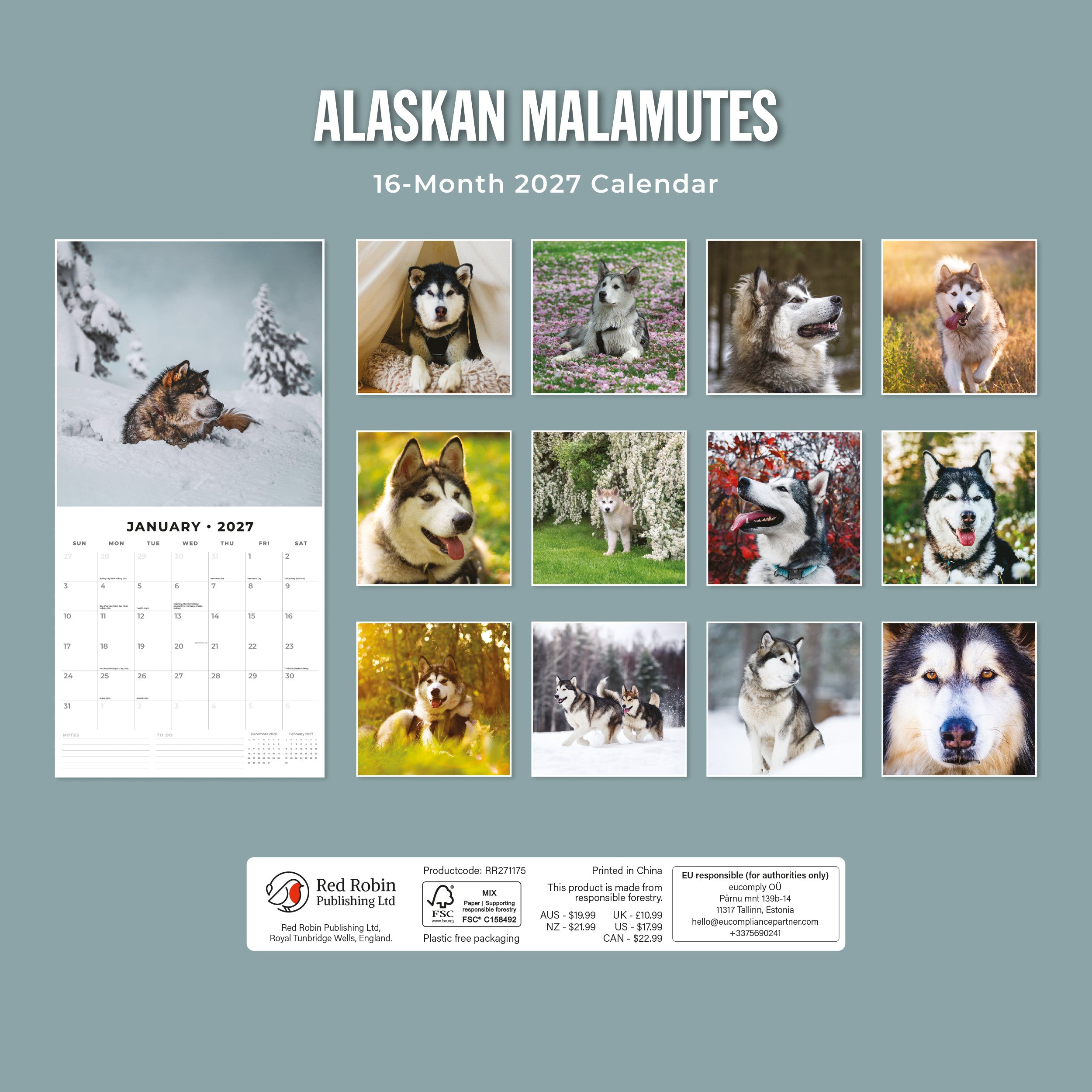 2027 Alaskan Malamutes - Square Wall Calendar