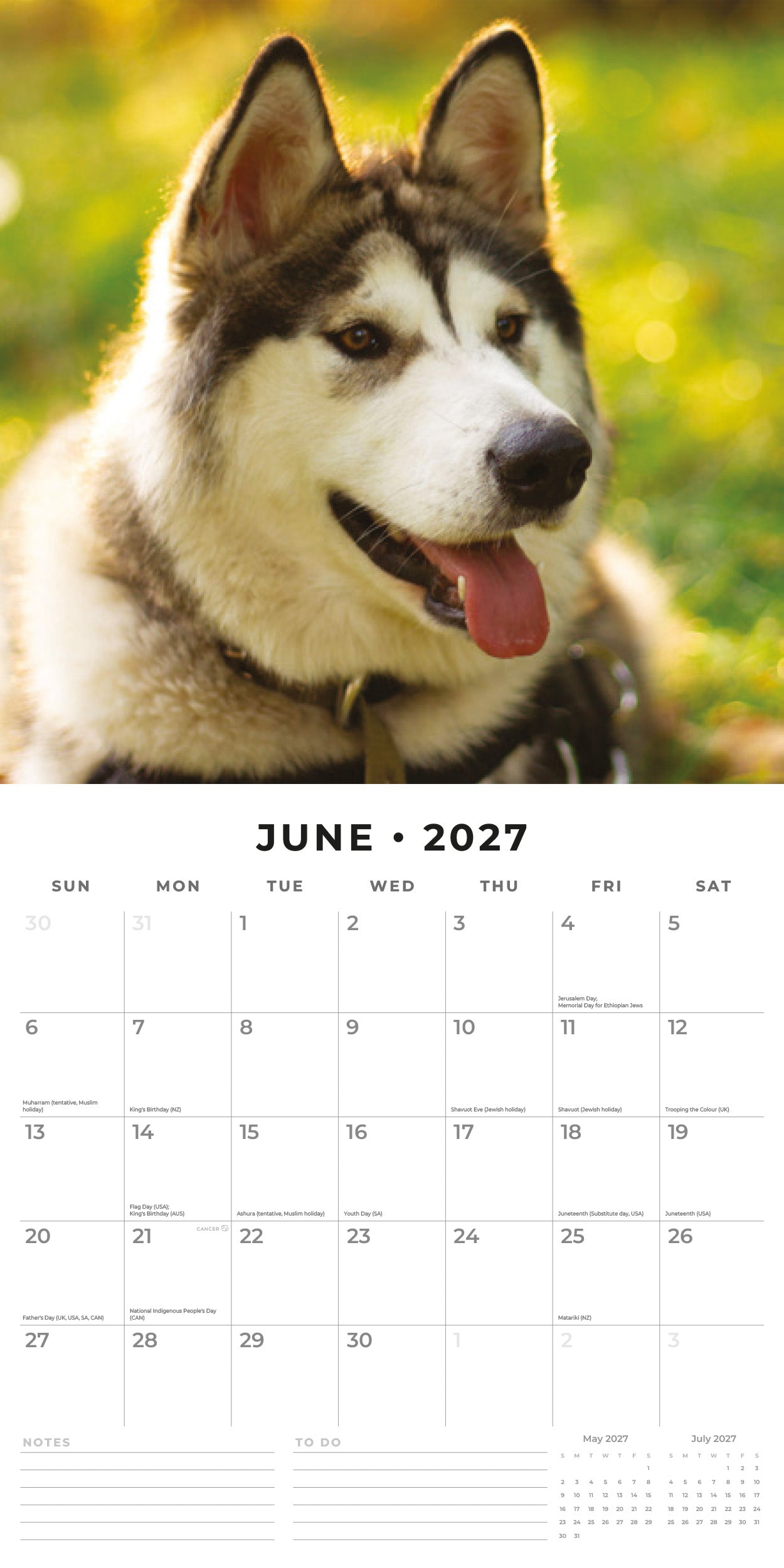 2027 Alaskan Malamutes - Square Wall Calendar