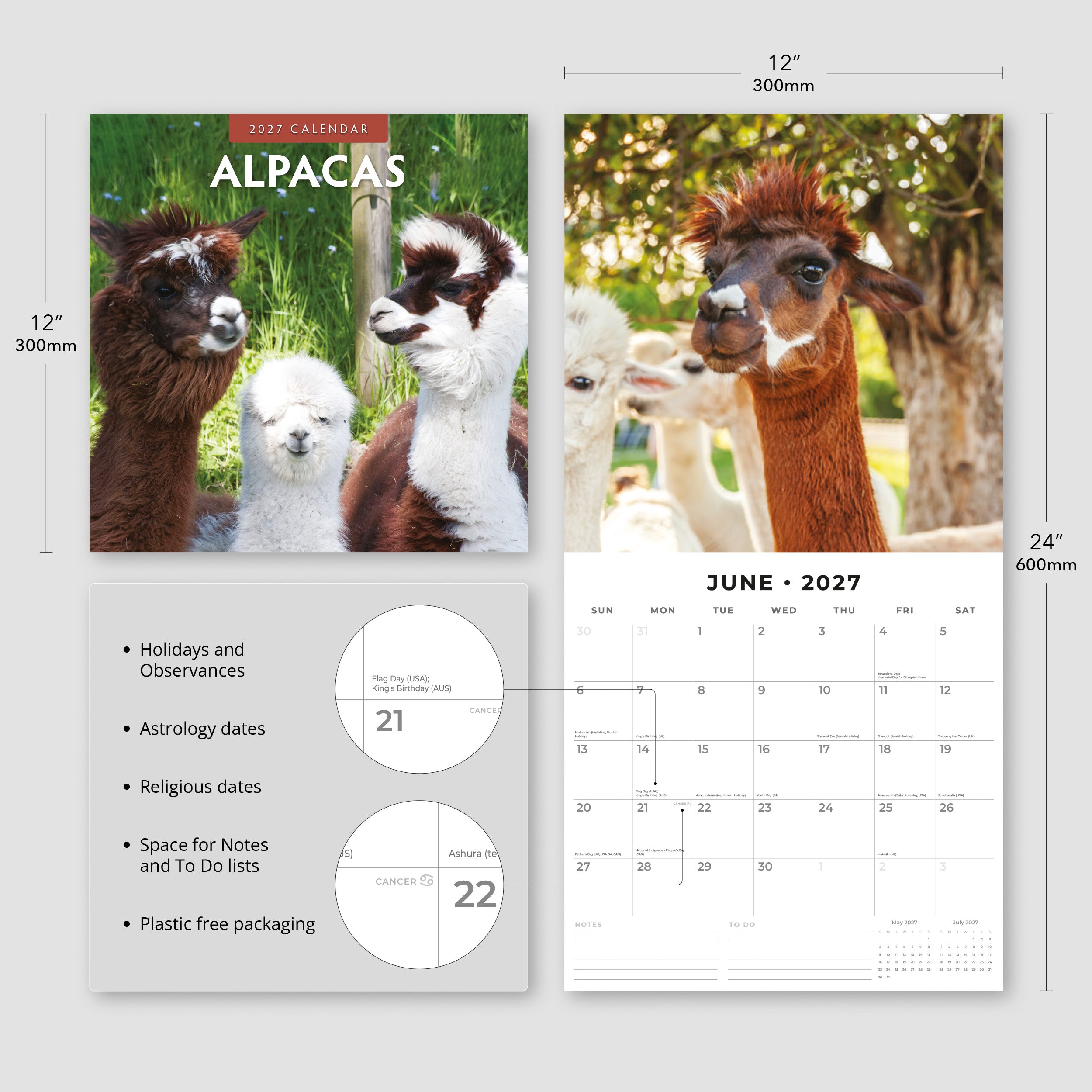 2027 Alpacas - Square Wall Calendar
