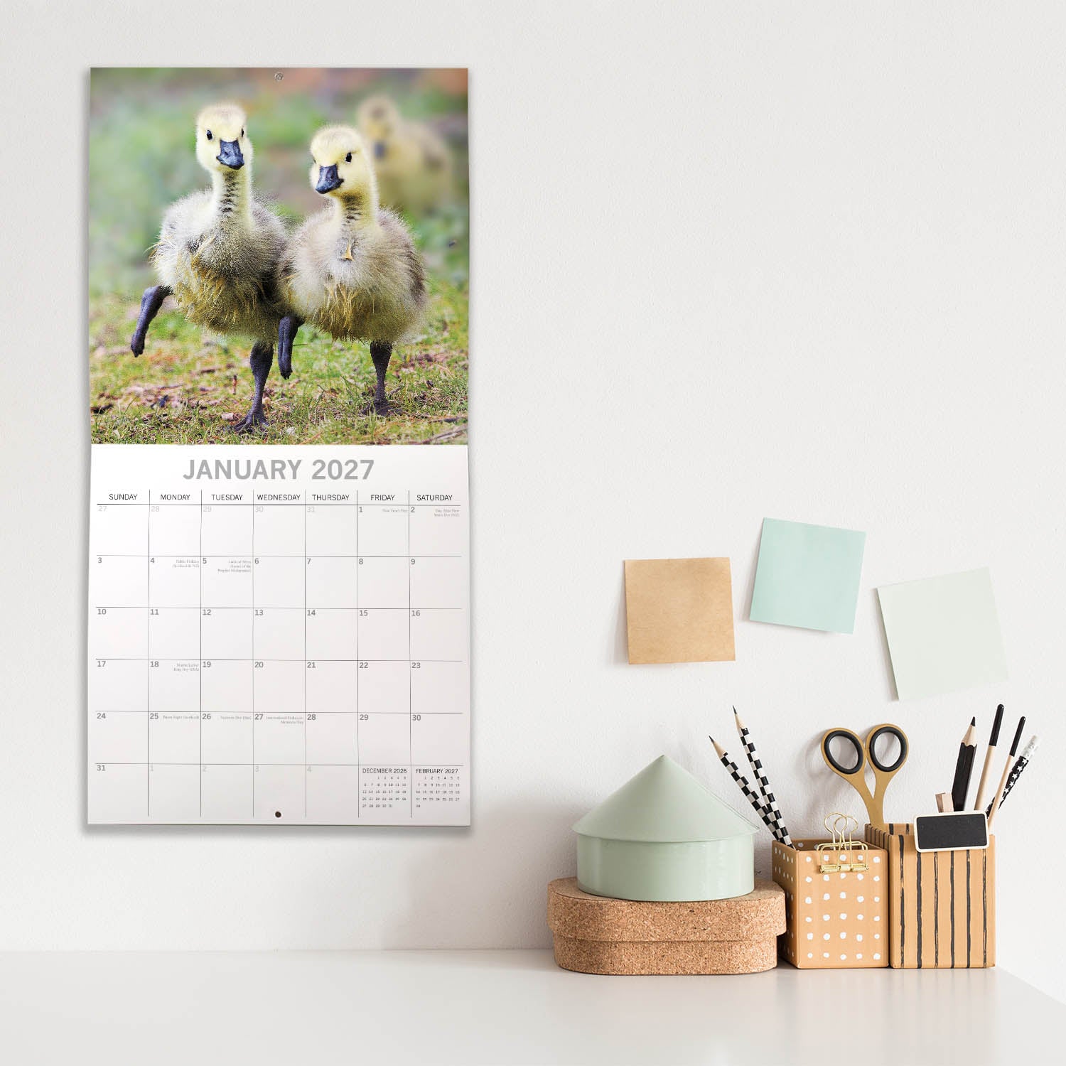 Animals_Baby_Farm_Animals_2027_Jan_LS.jpg