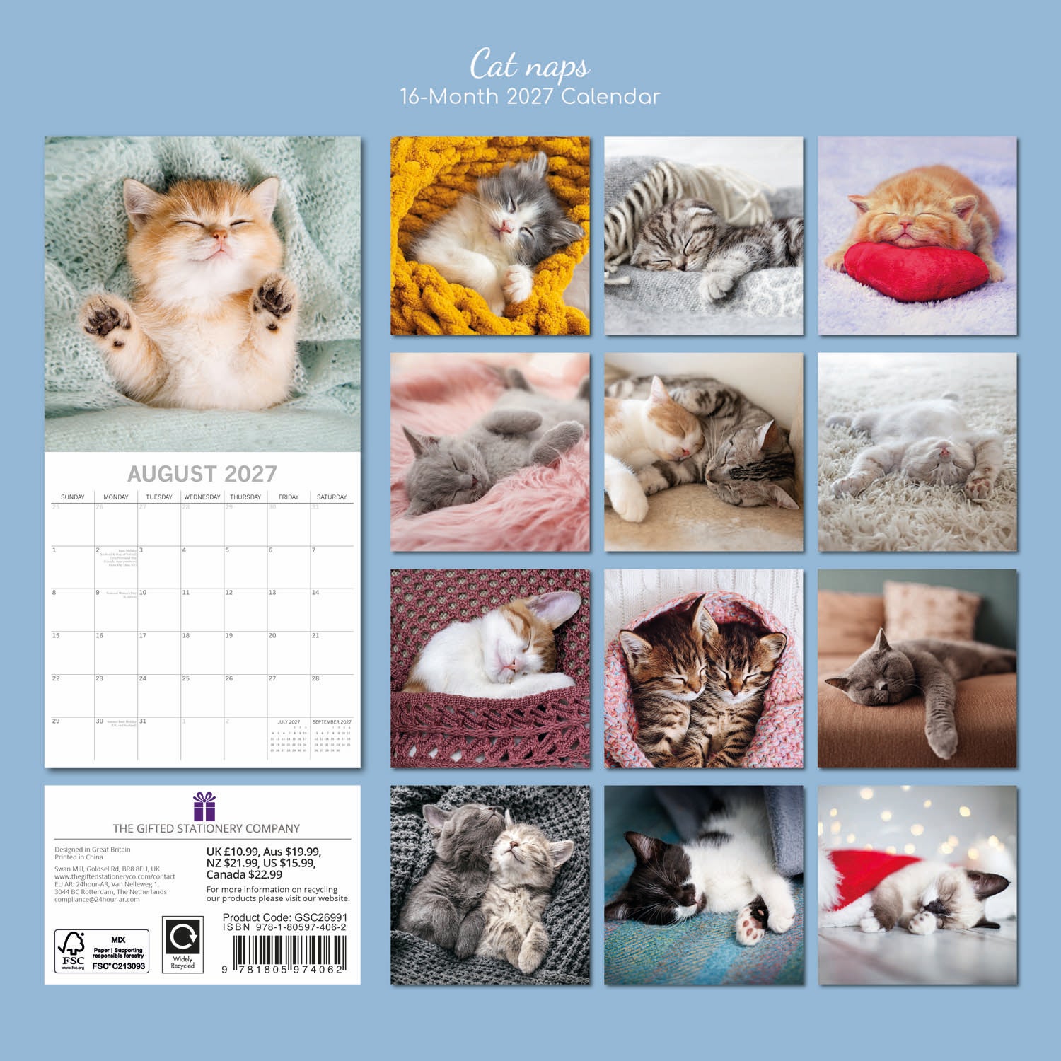 Animals_Cat_Naps_2027_Back.jpg