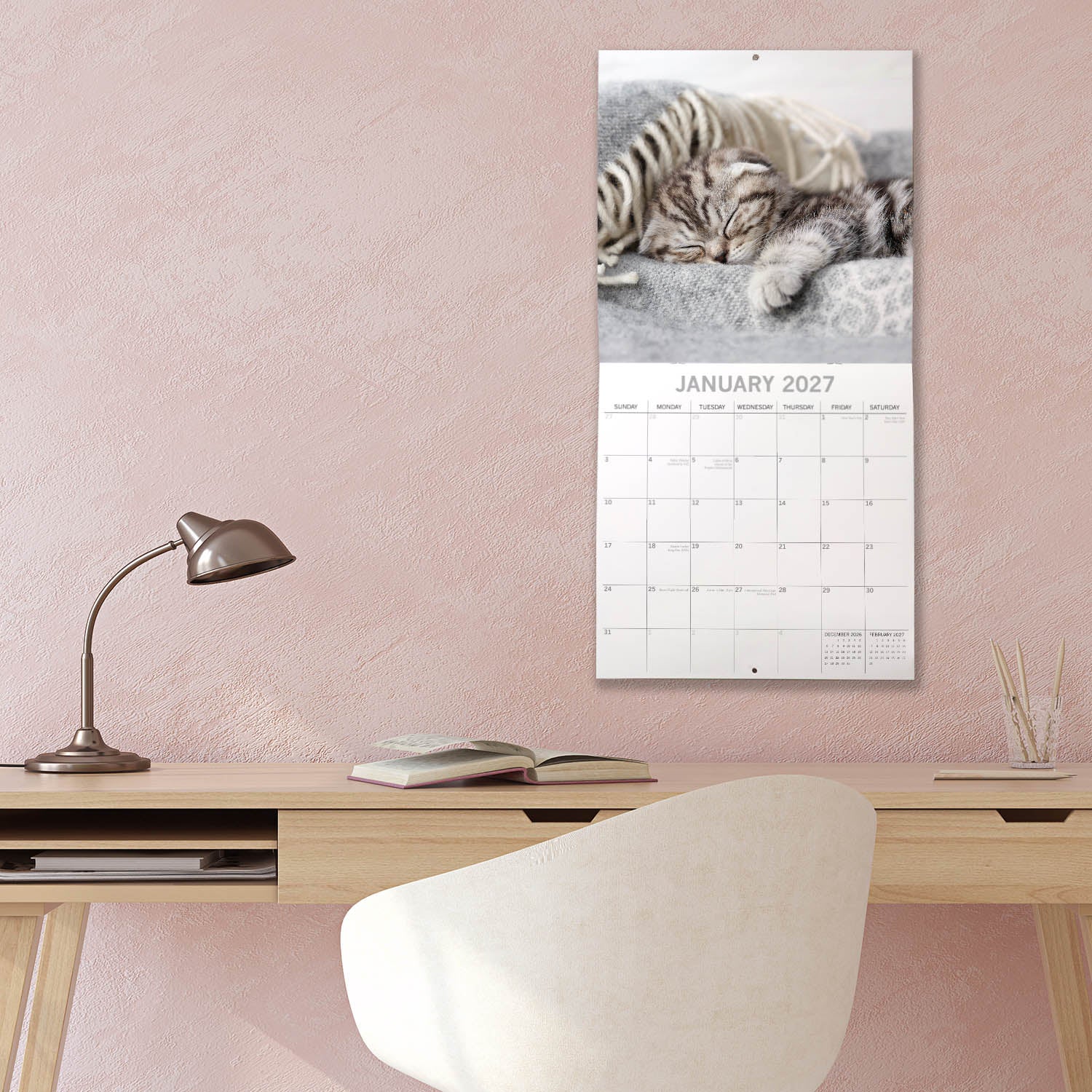 Animals_Cat_Naps_2027_Jan_LS.jpg