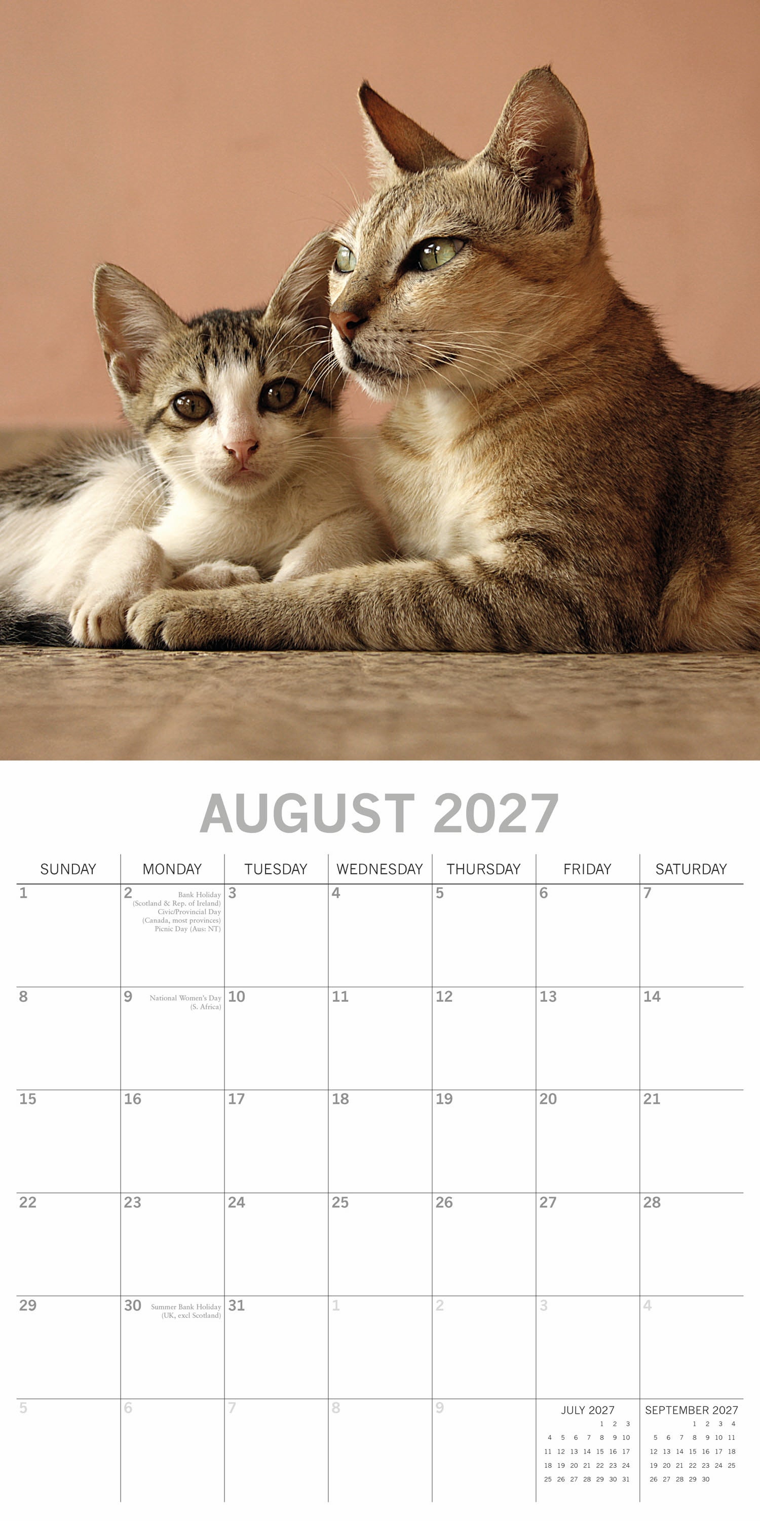 Animals_Cats___Kittens_2027_Aug.jpg
