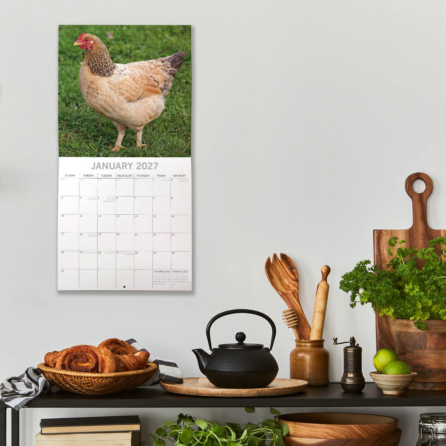 Animals_Chickens_2027_Jan_LS.jpg