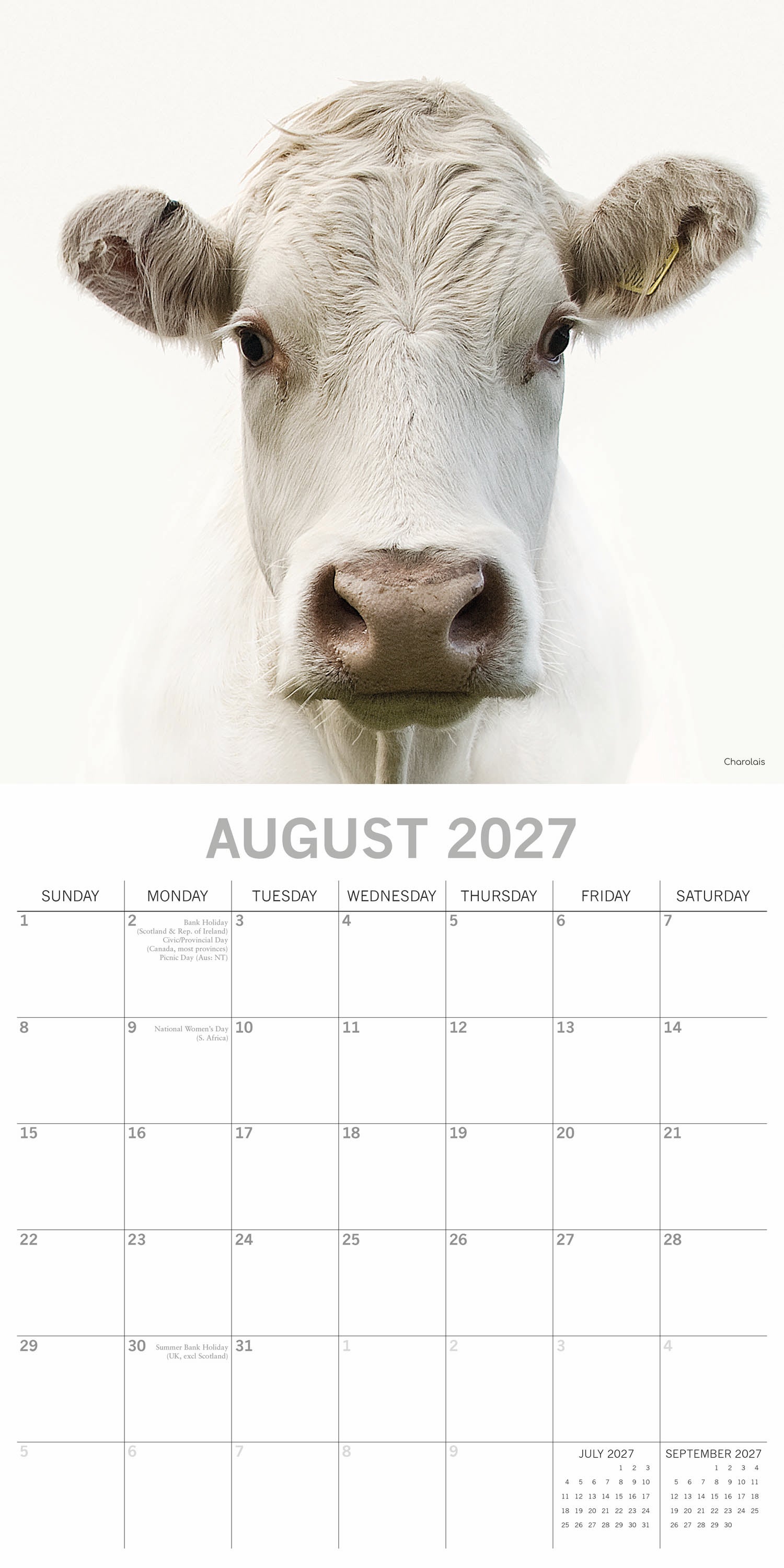 Animals_Cows_2027_Aug.jpg