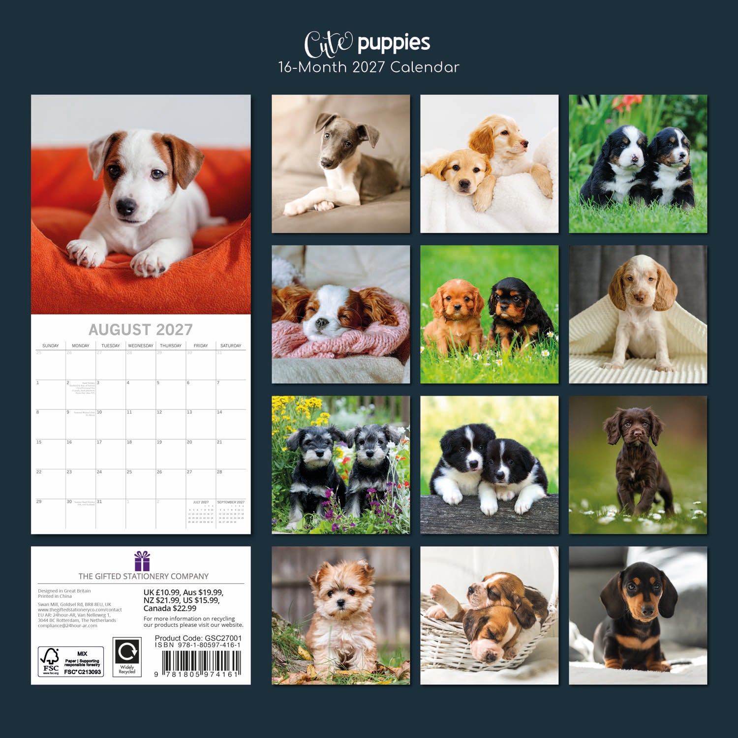 Animals_Cute_Puppies_2027_Back.jpg