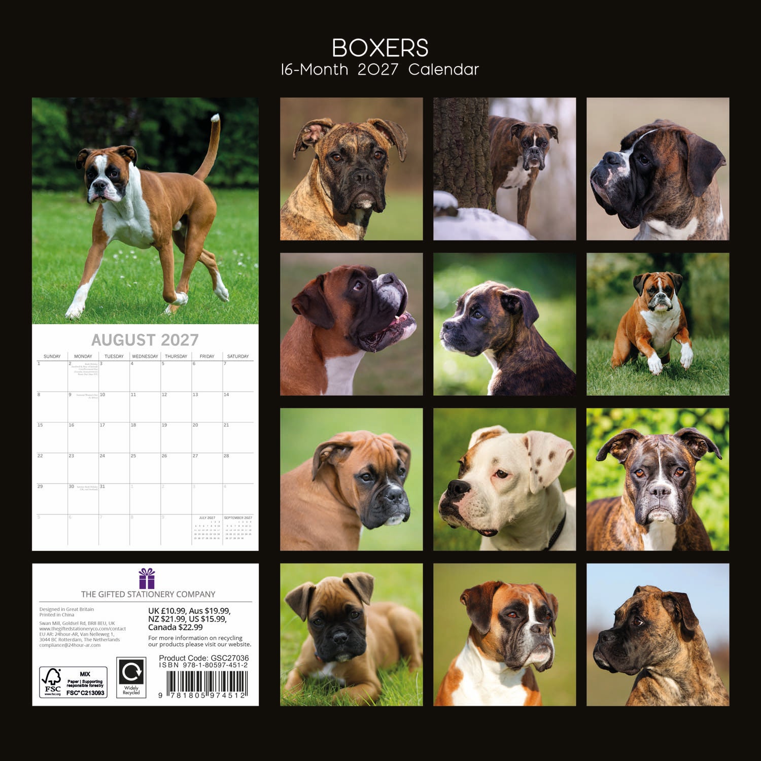 Animals_Dogs_Boxers_2027_Back.jpg
