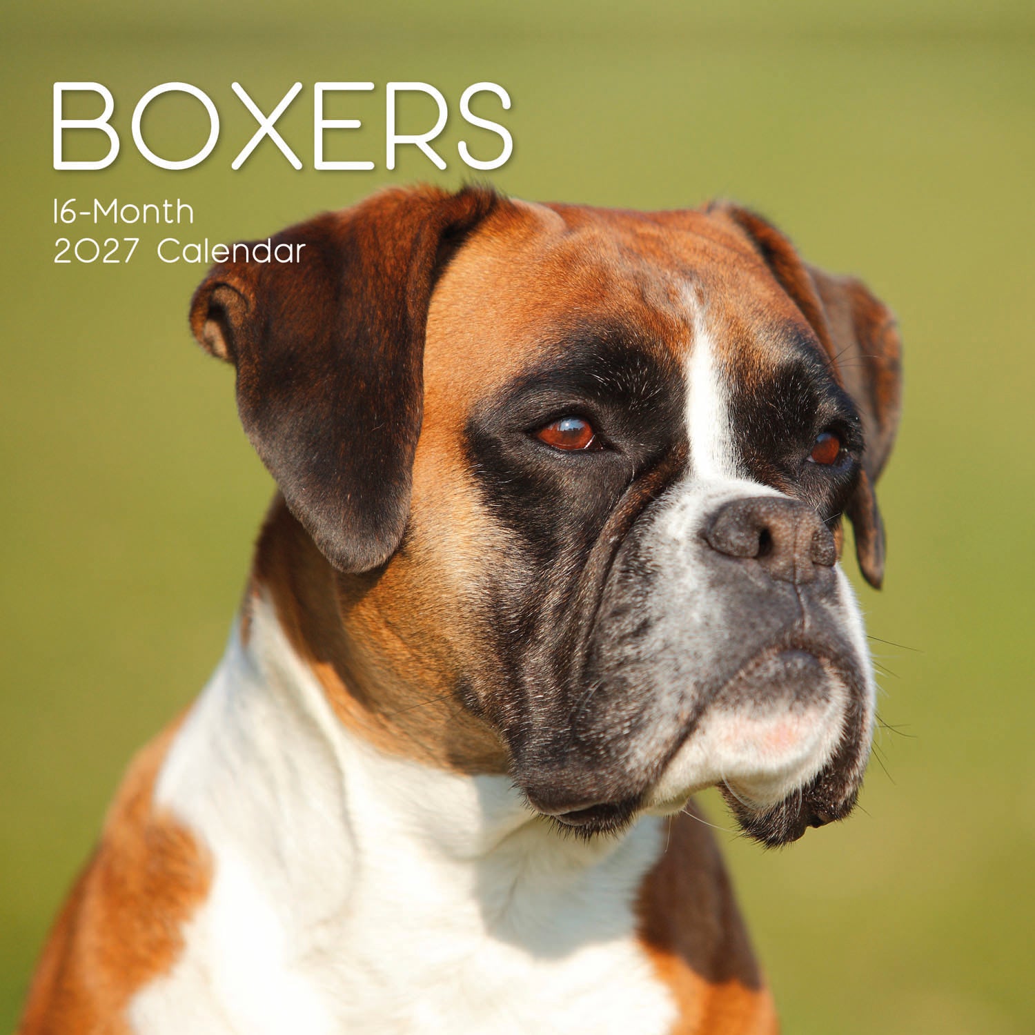 Animals_Dogs_Boxers_2027_Cover.jpg