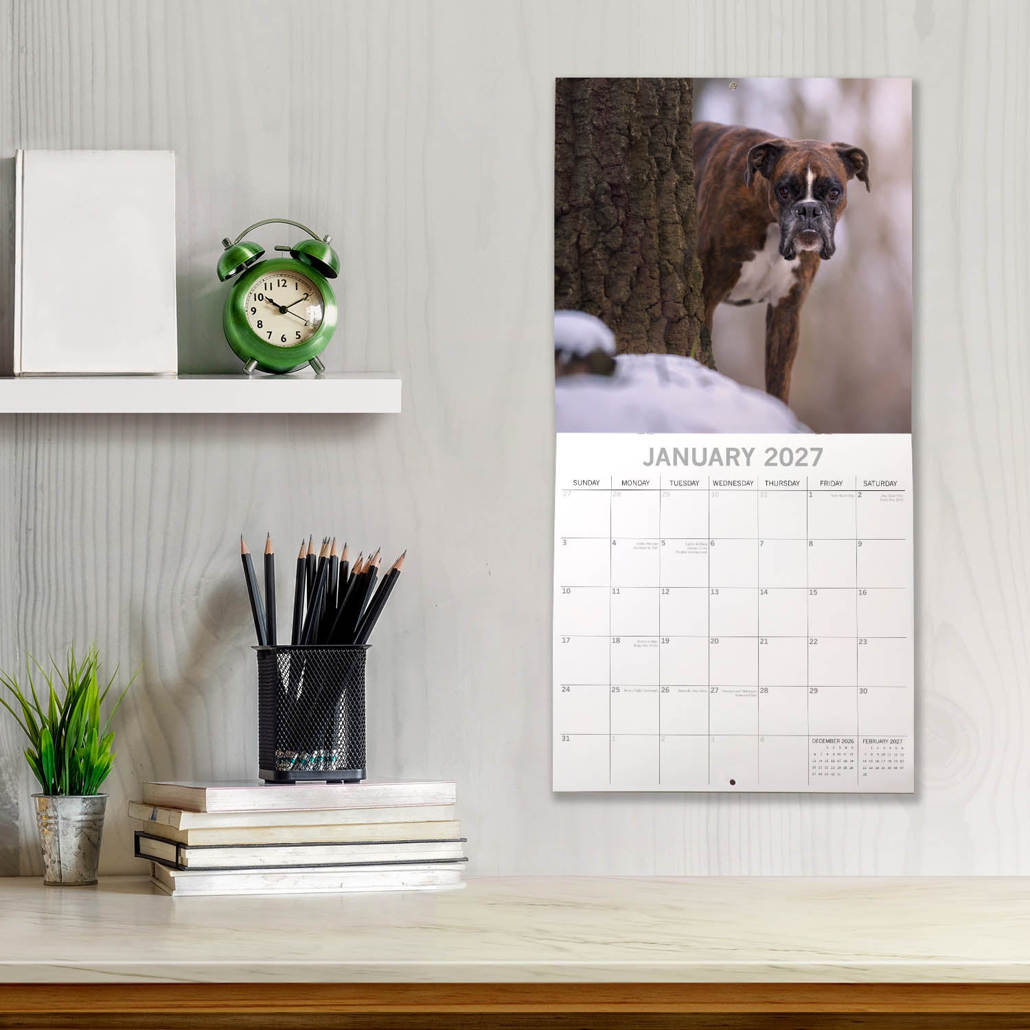 Animals_Dogs_Boxers_2027_Jan_LS.jpg
