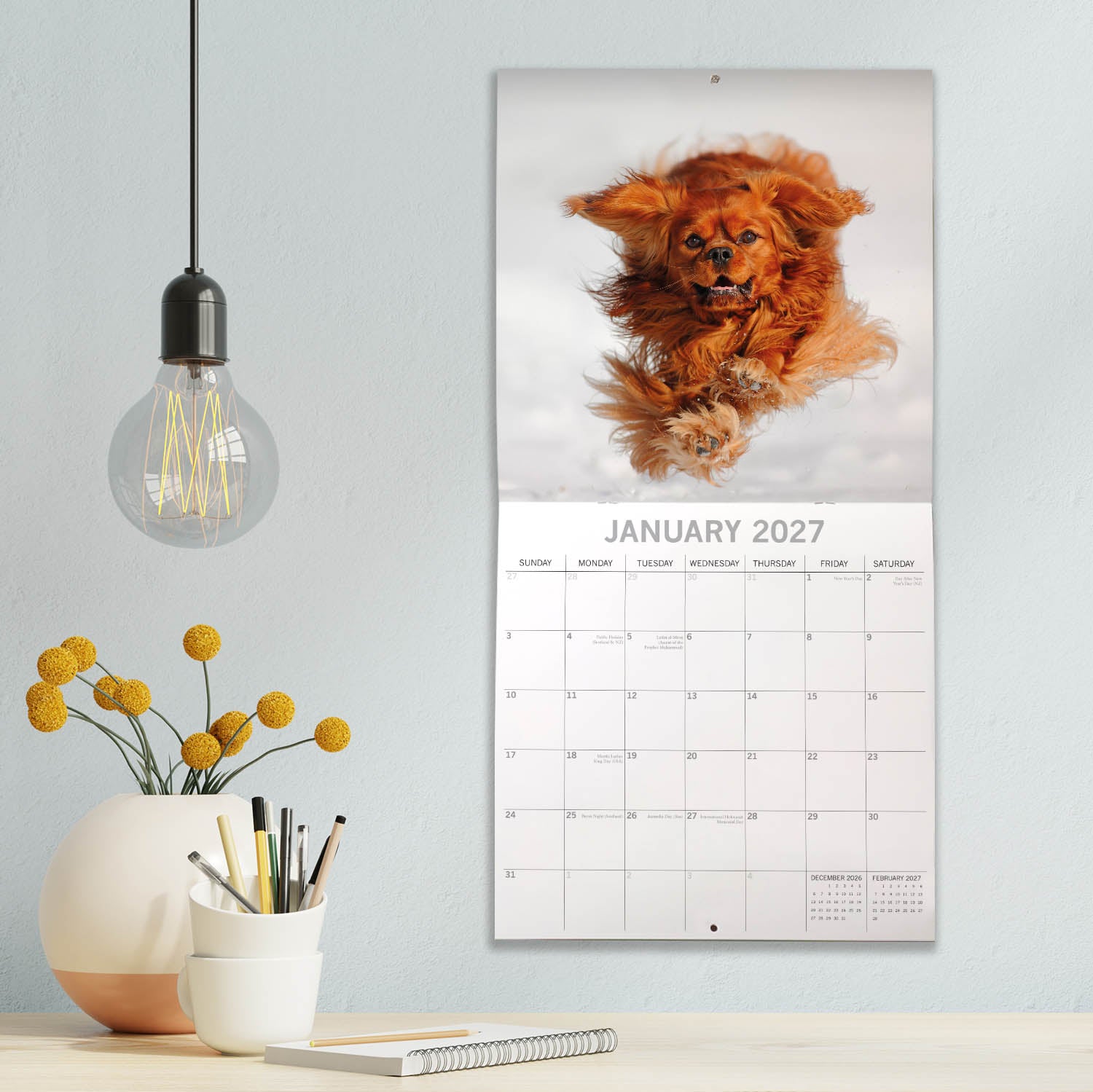 Animals_Dogs_Cavalier_King_Charles_Spaniels_2027_Jan_LS.jpg