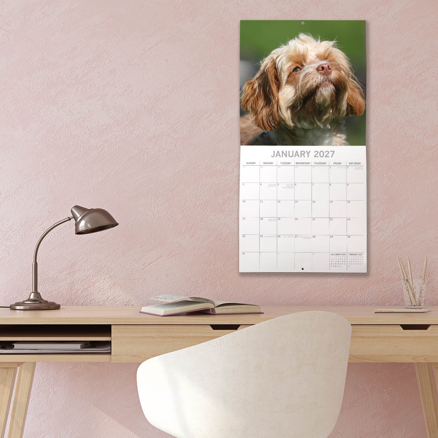 Animals_Dogs_Cavapoos_2027_Jan_LS.jpg