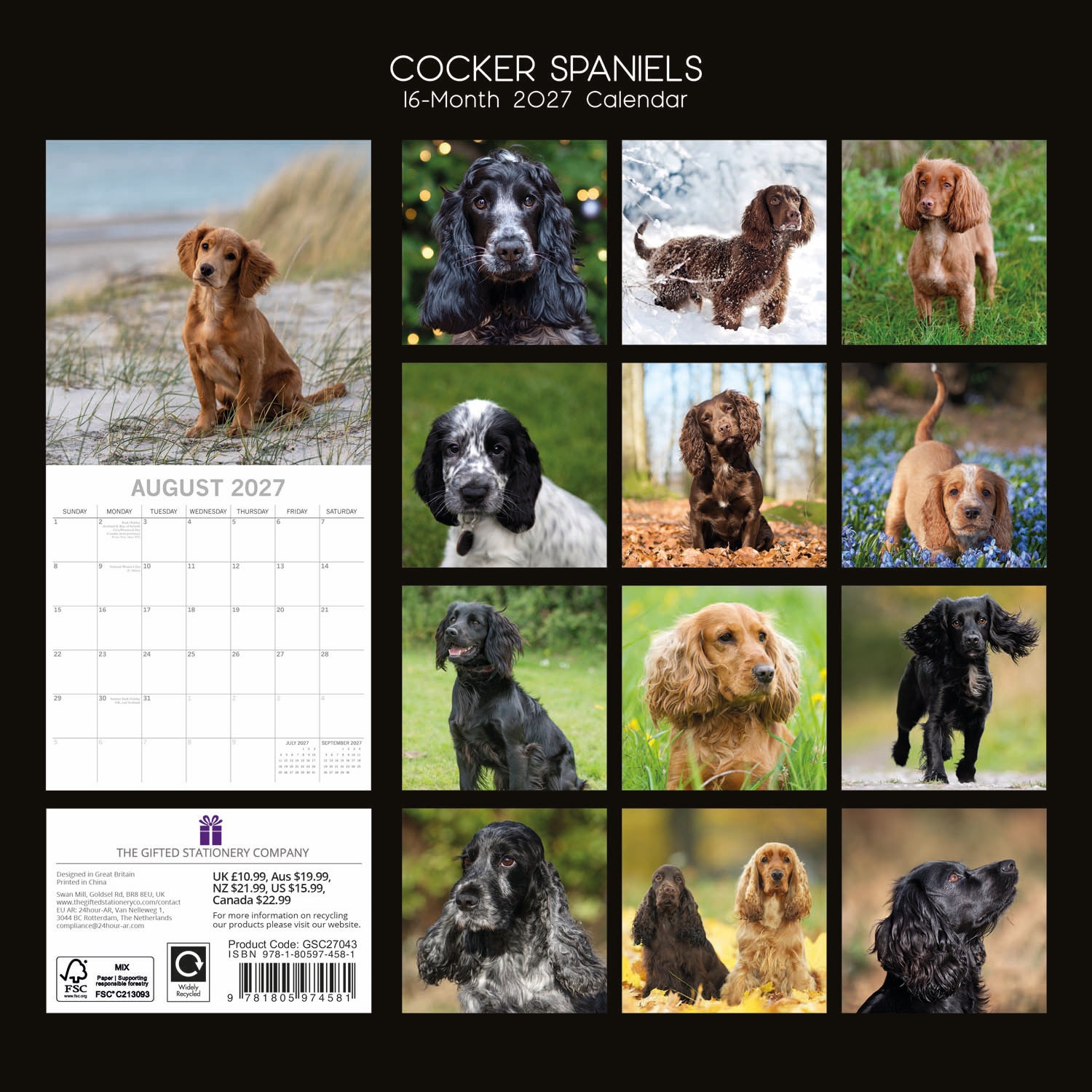 Animals_Dogs_Cocker_Spaniels_2027_Back.jpg