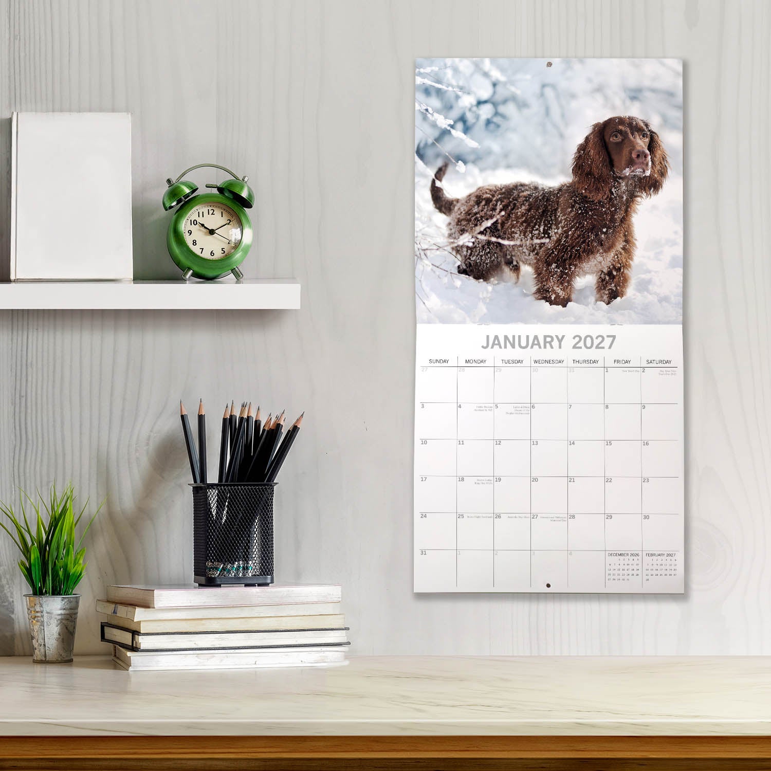 Animals_Dogs_Cocker_Spaniels_2027_Jan_LS.jpg